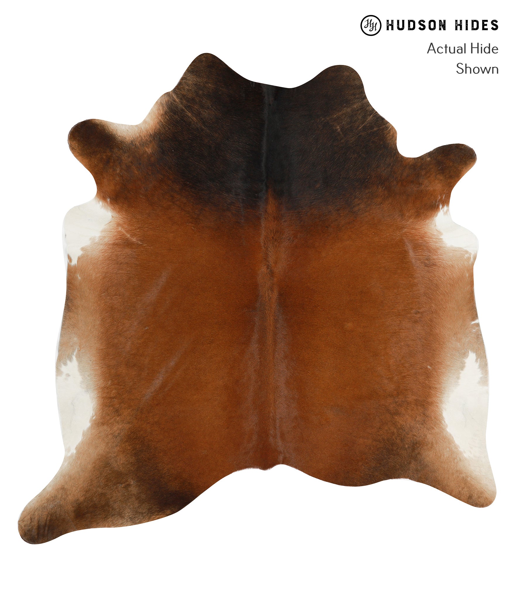 Brown with Red Cowhide Rug #31195