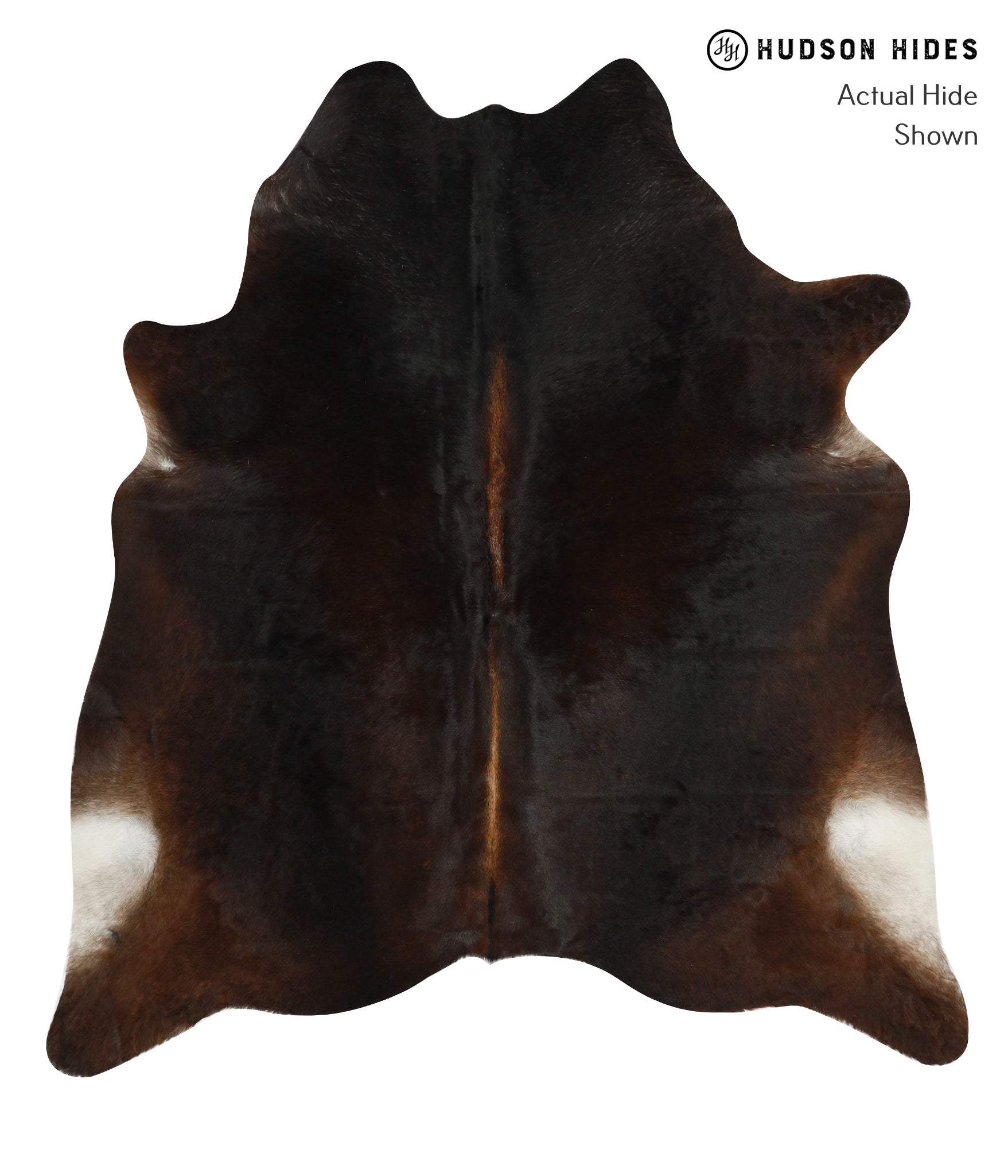 Chocolate Cowhide Rug #31218
