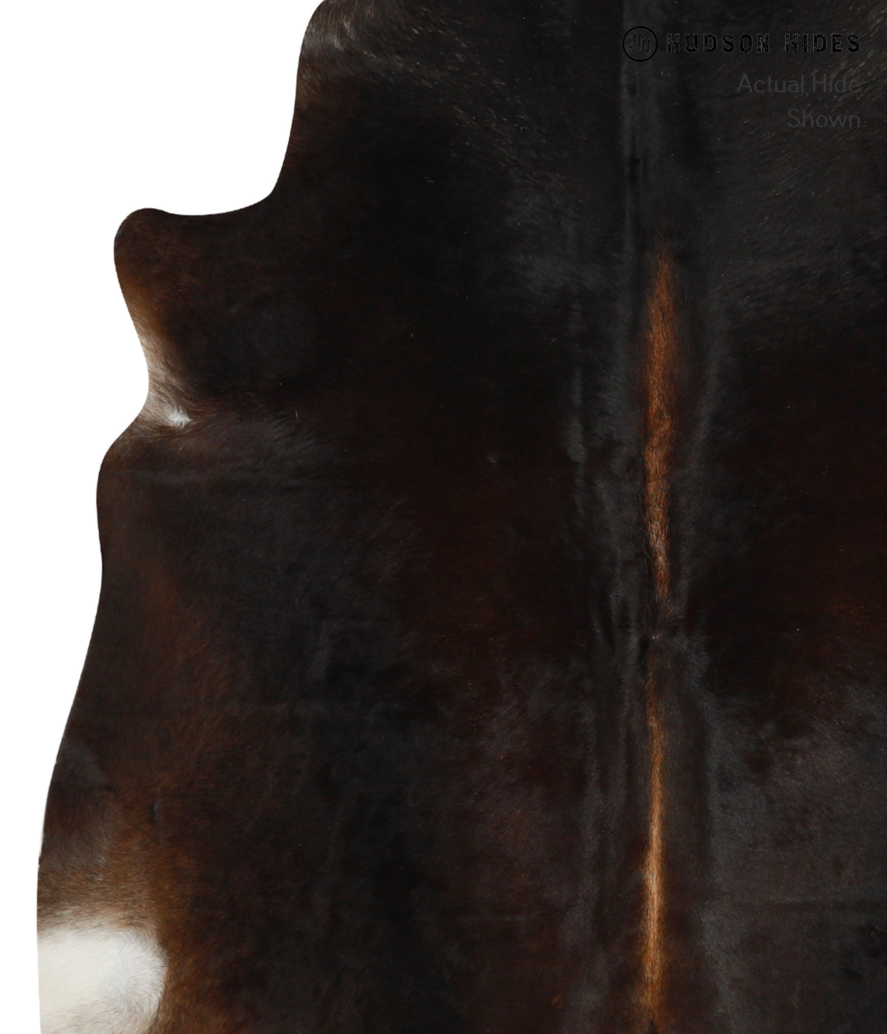 Chocolate Cowhide Rug #31218
