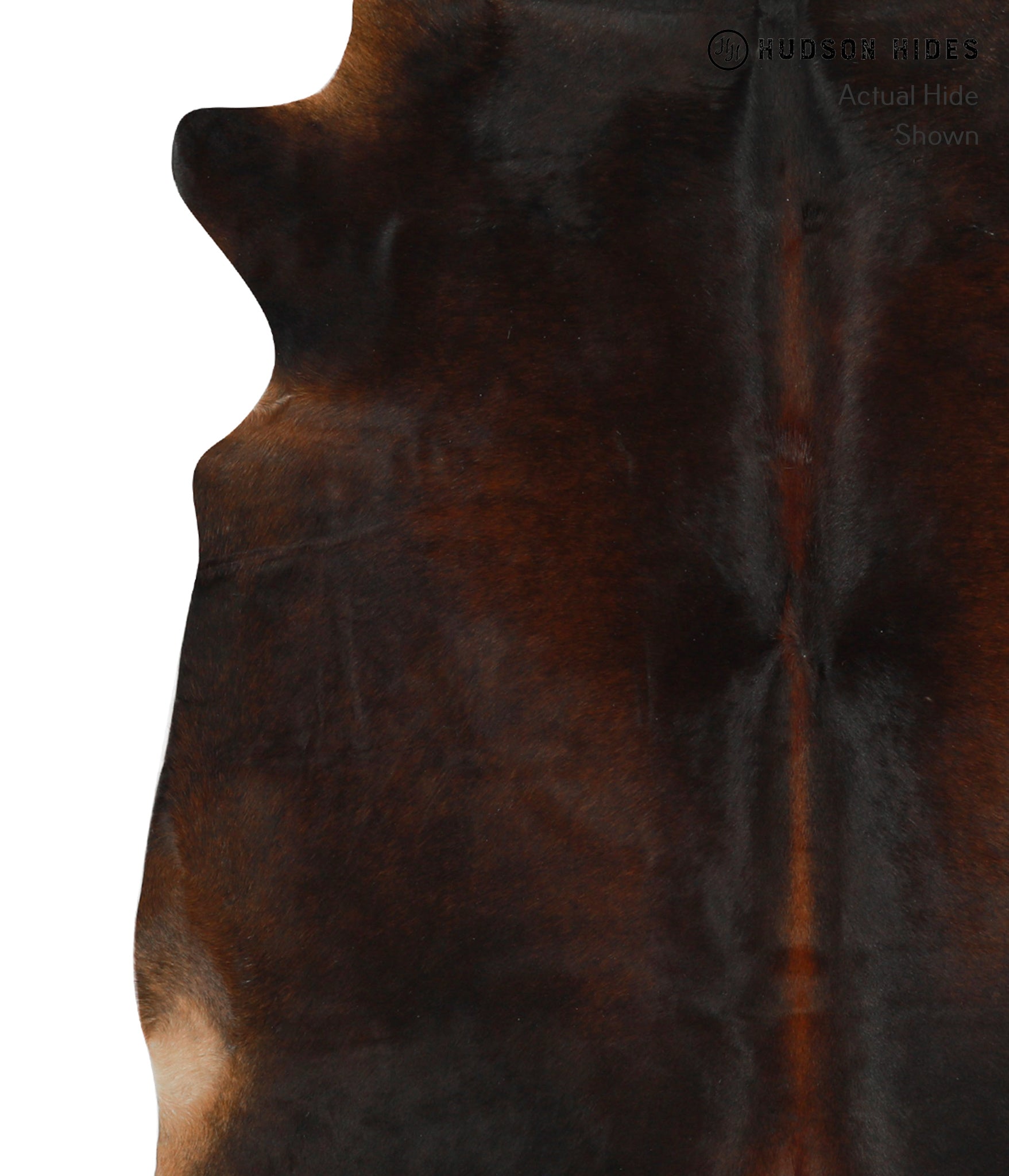 Chocolate Cowhide Rug #31373