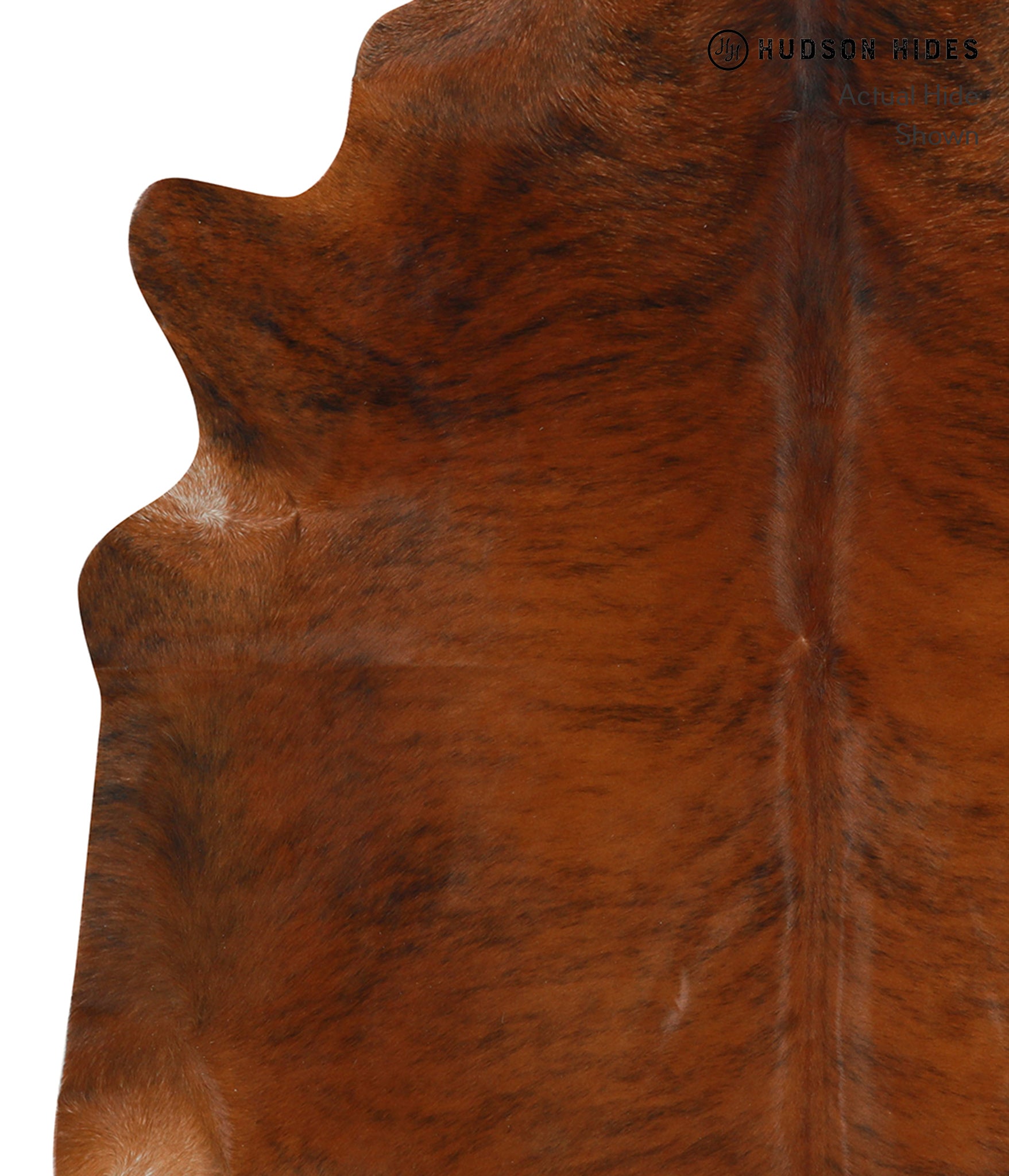 Medium Brindle Cowhide Rug #31460