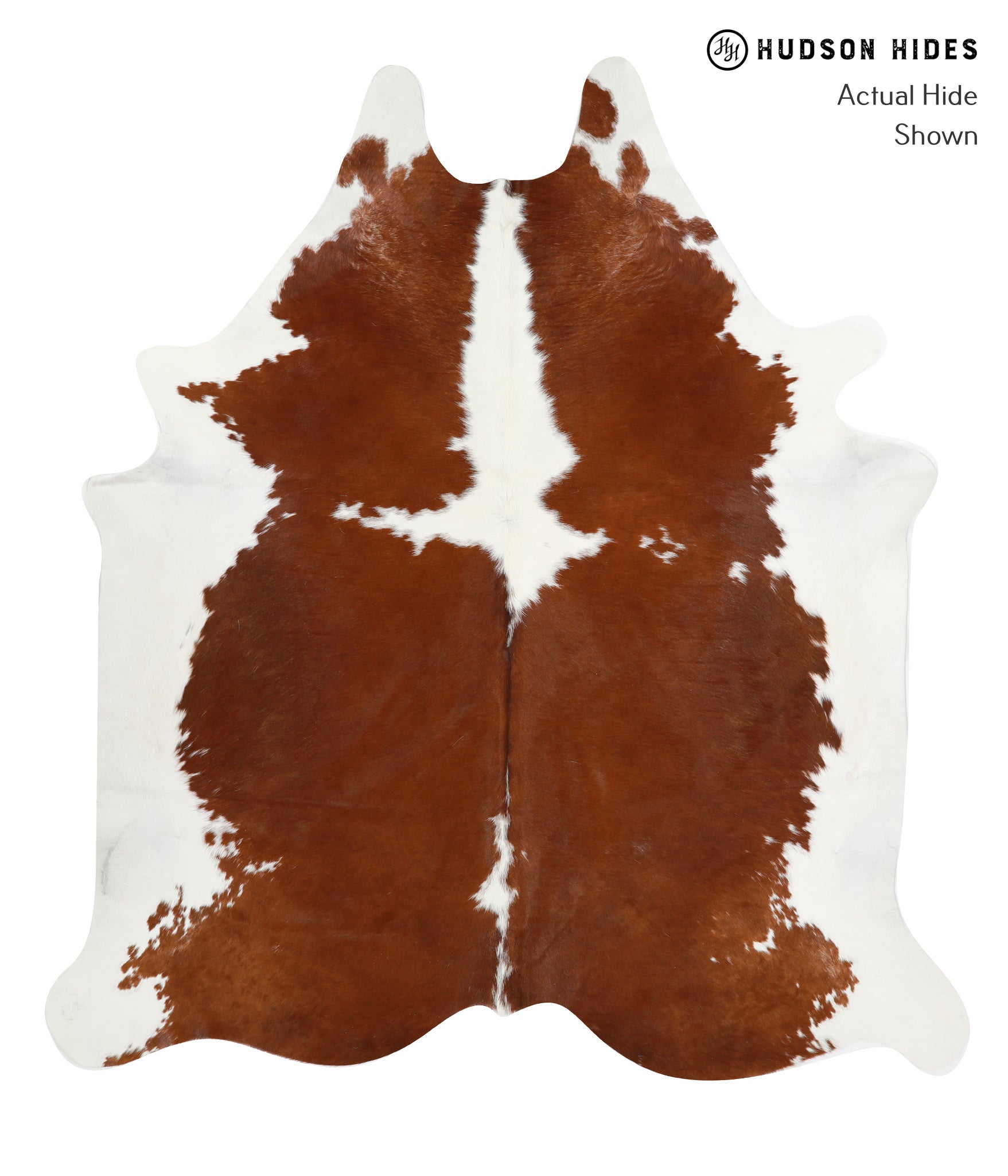 Brown and White Cowhide Rug #31609
