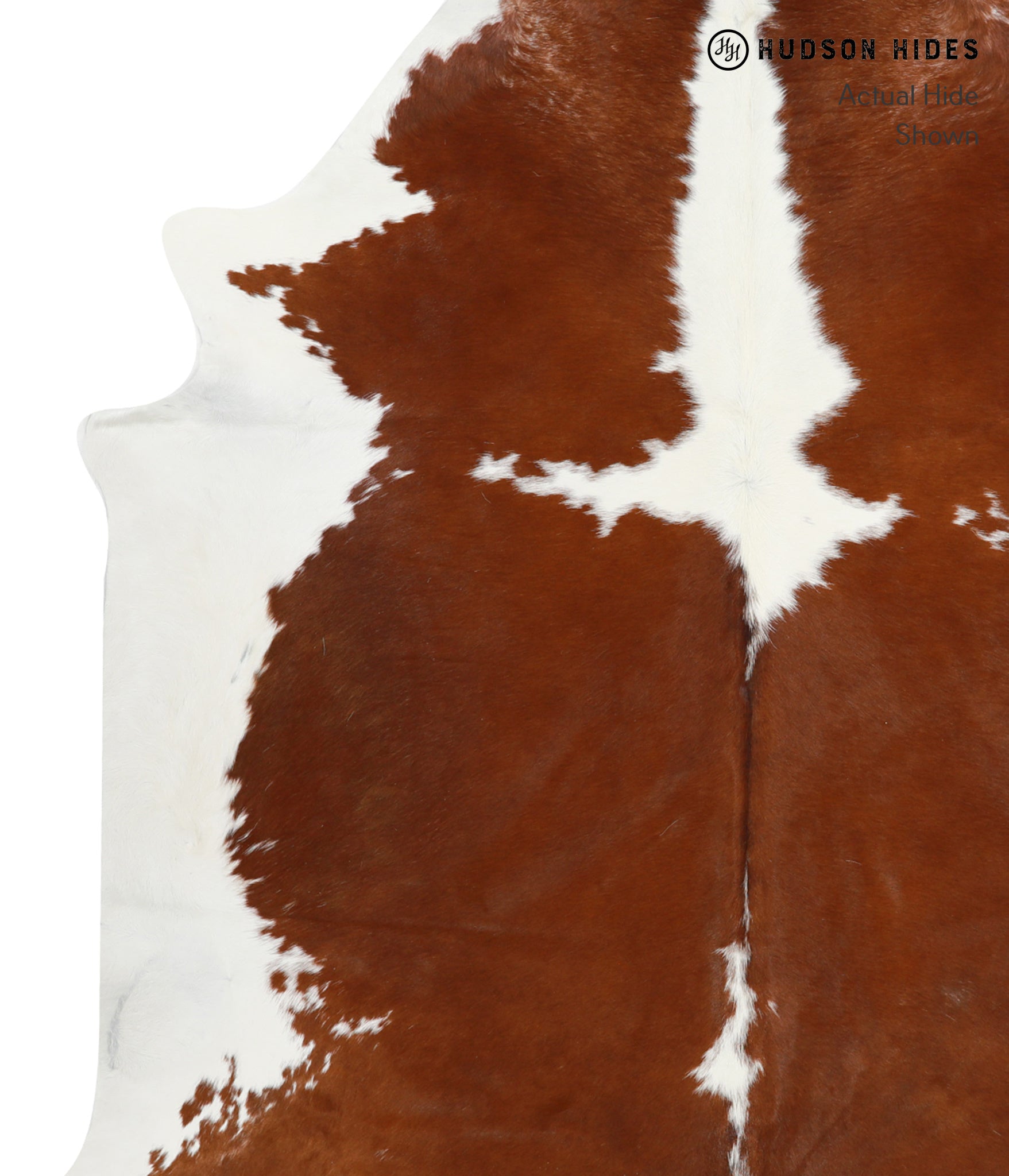 Brown and White Cowhide Rug #31609