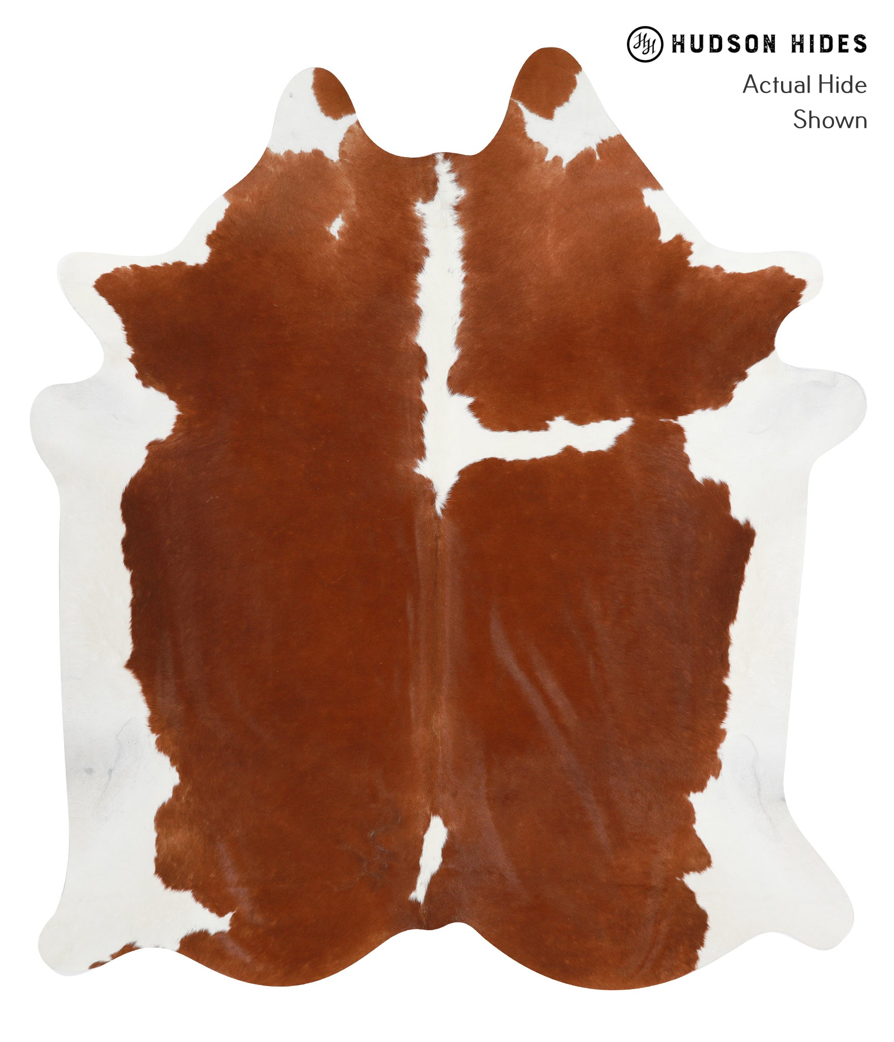 Brown and White Cowhide Rug #32286