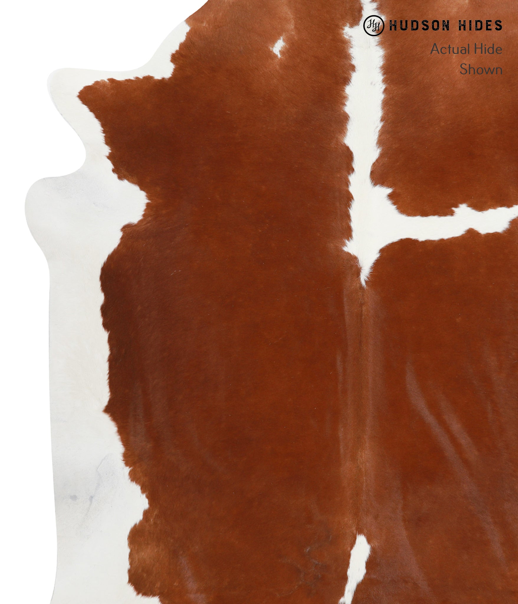 Brown and White Cowhide Rug #32286
