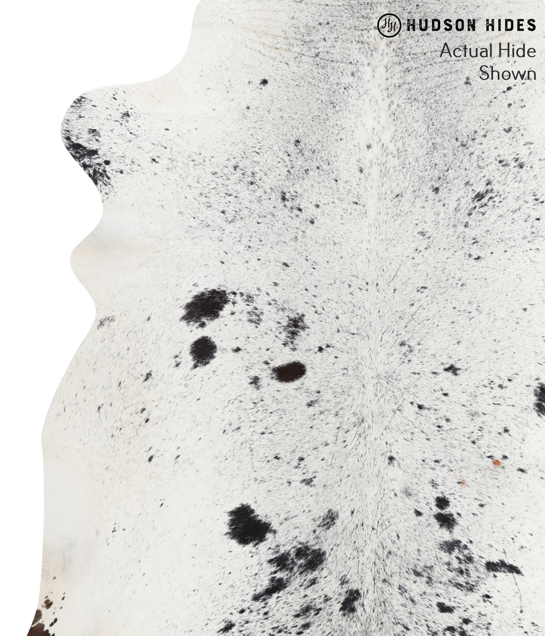 Salt and Pepper Black Cowhide Rug #38203