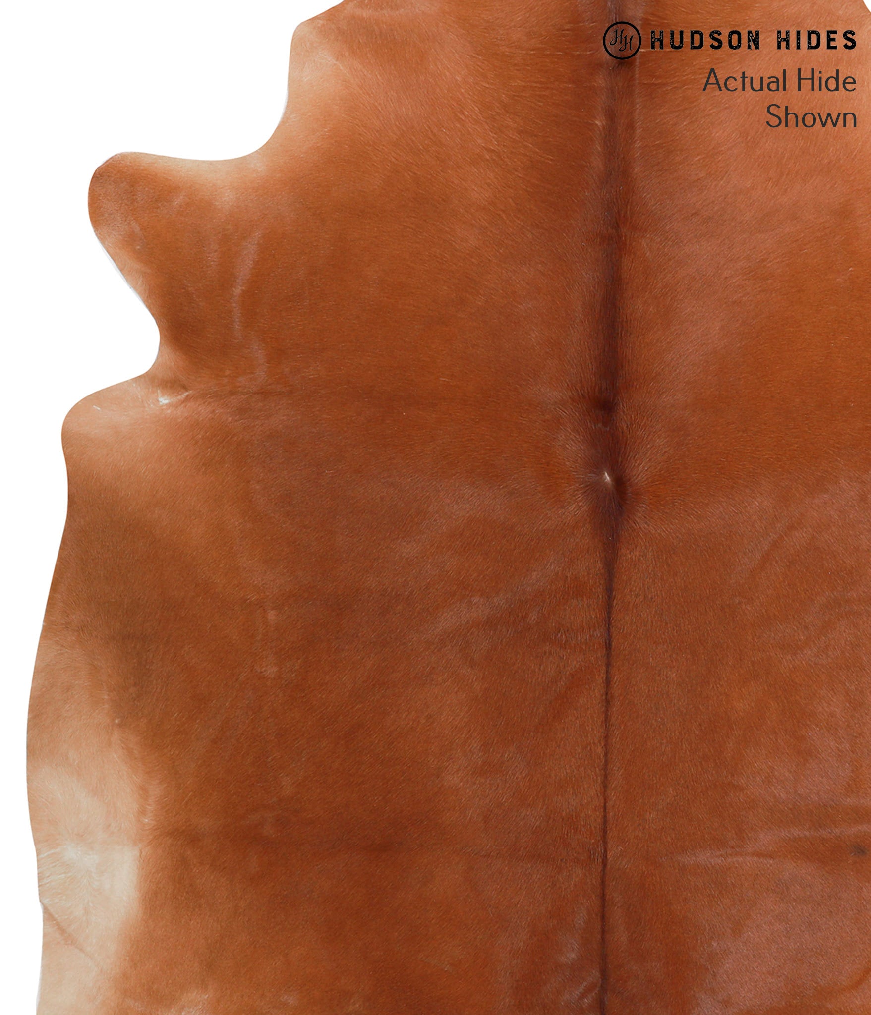 Solid Brown Cowhide Rug #38222