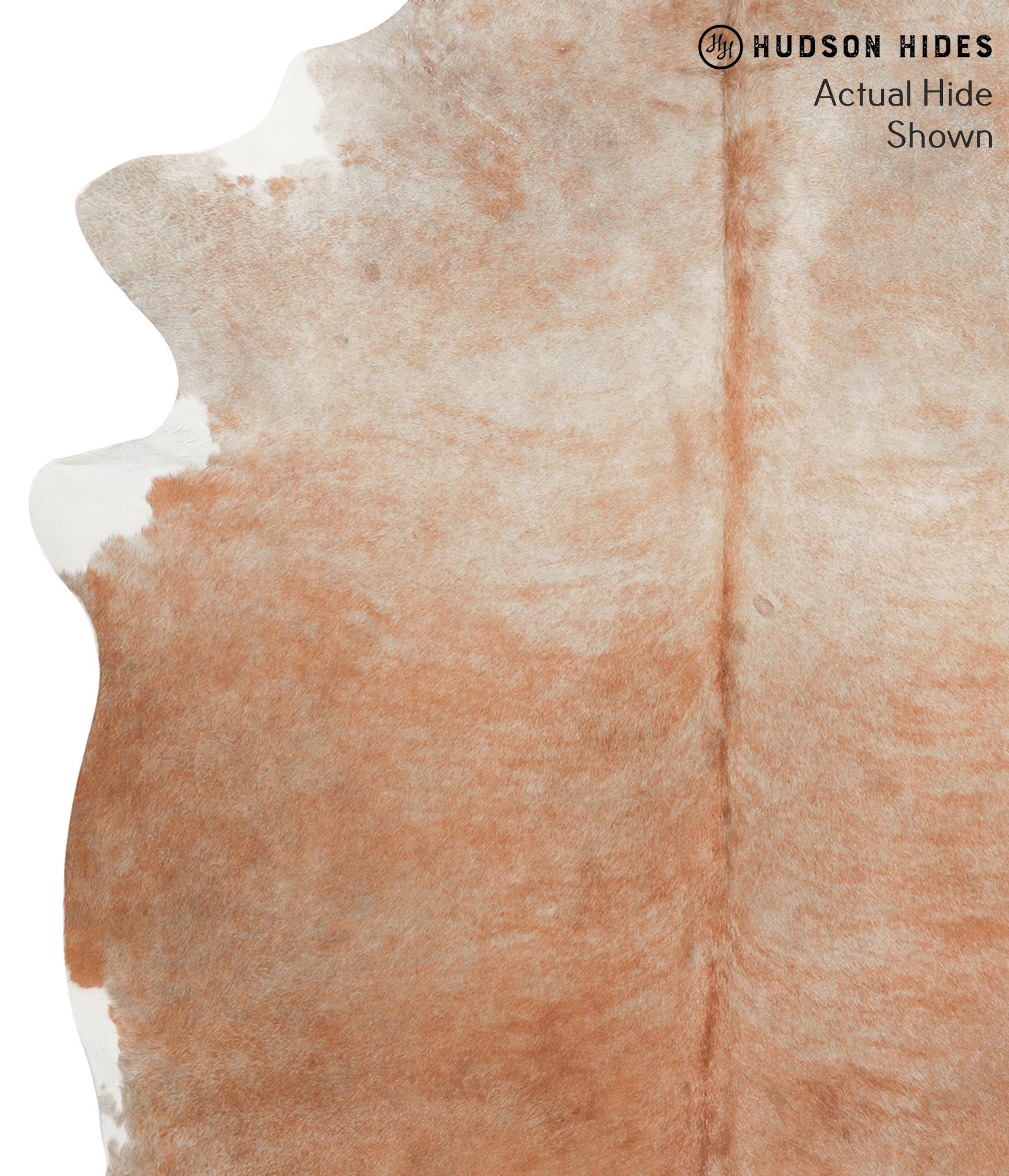 Caramel Cowhide Rug #38228