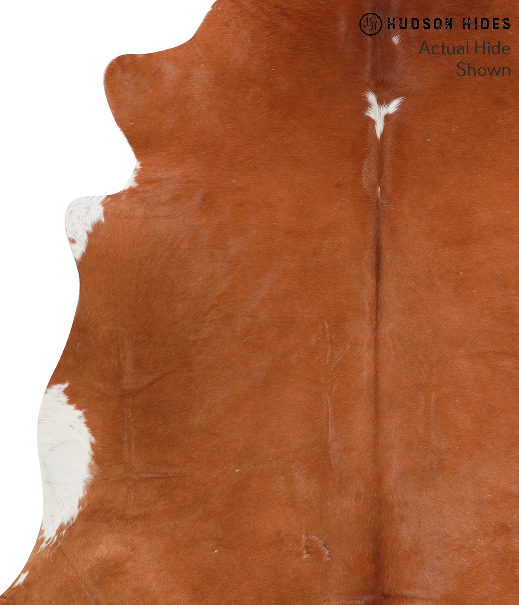 Brown and White Regular Cowhide Rug #38229