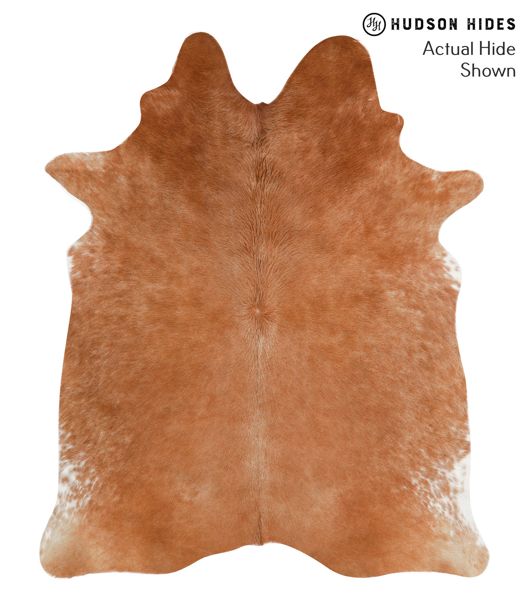 Solid Brown Cowhide Rug #38284