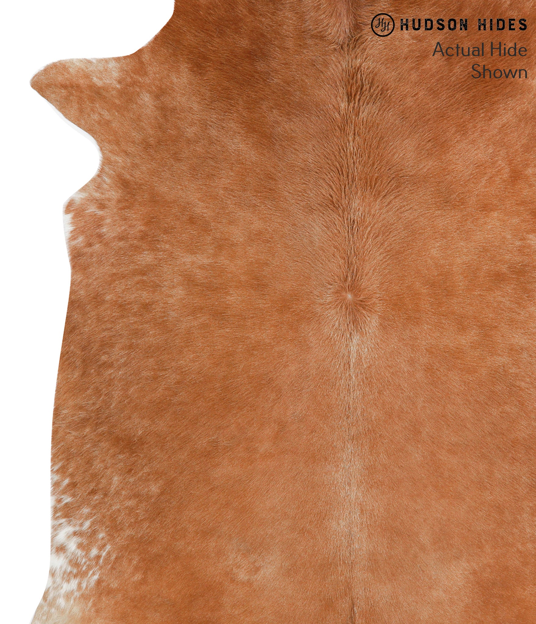 Solid Brown Cowhide Rug #38284