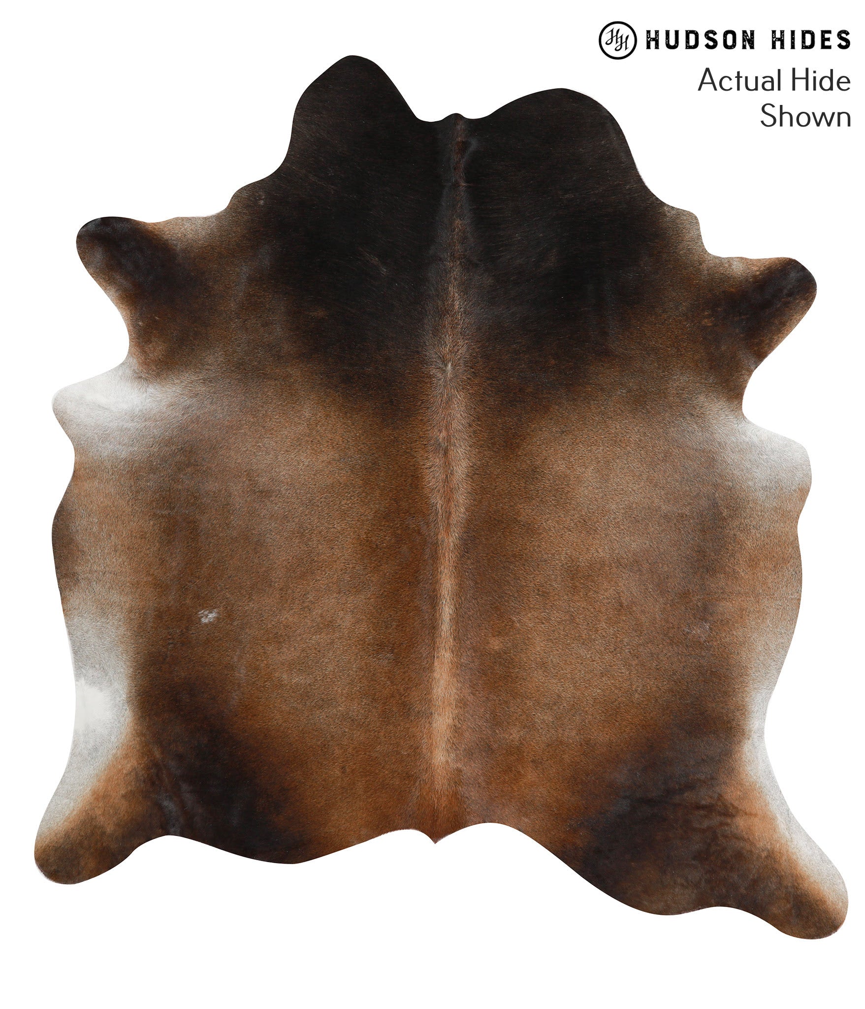 Chocolate Cowhide Rug #38292