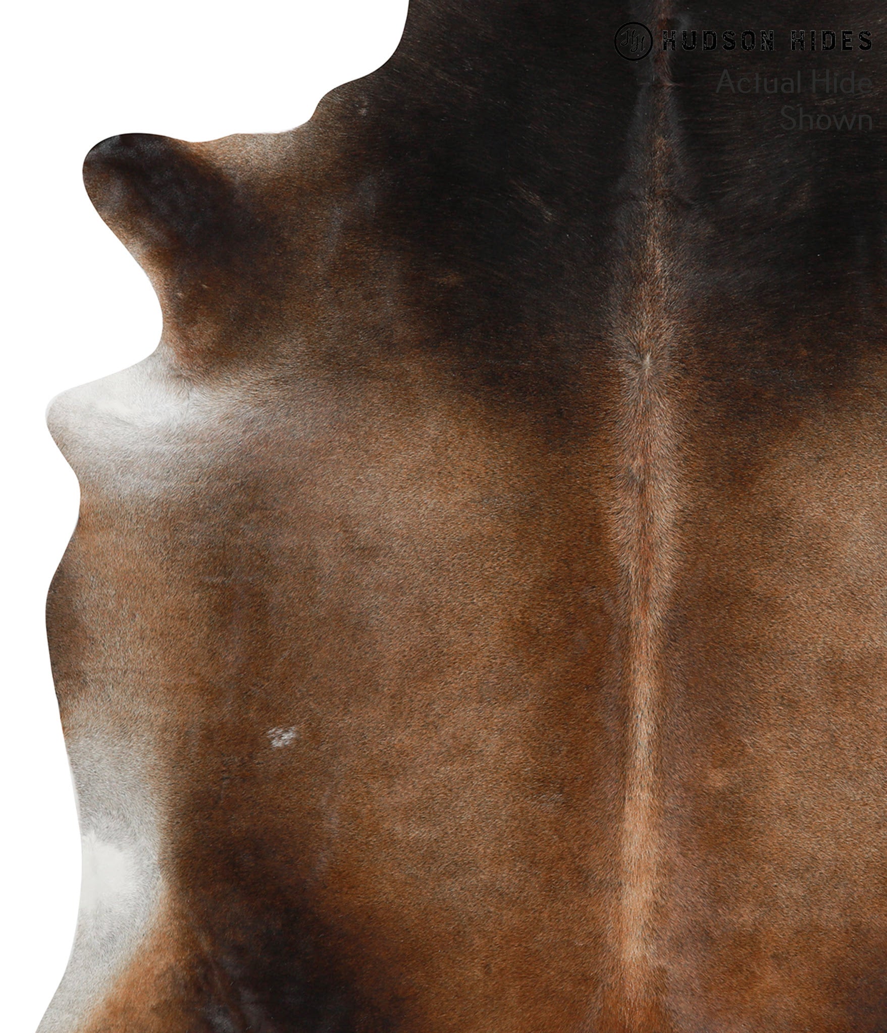 Chocolate Cowhide Rug #38292