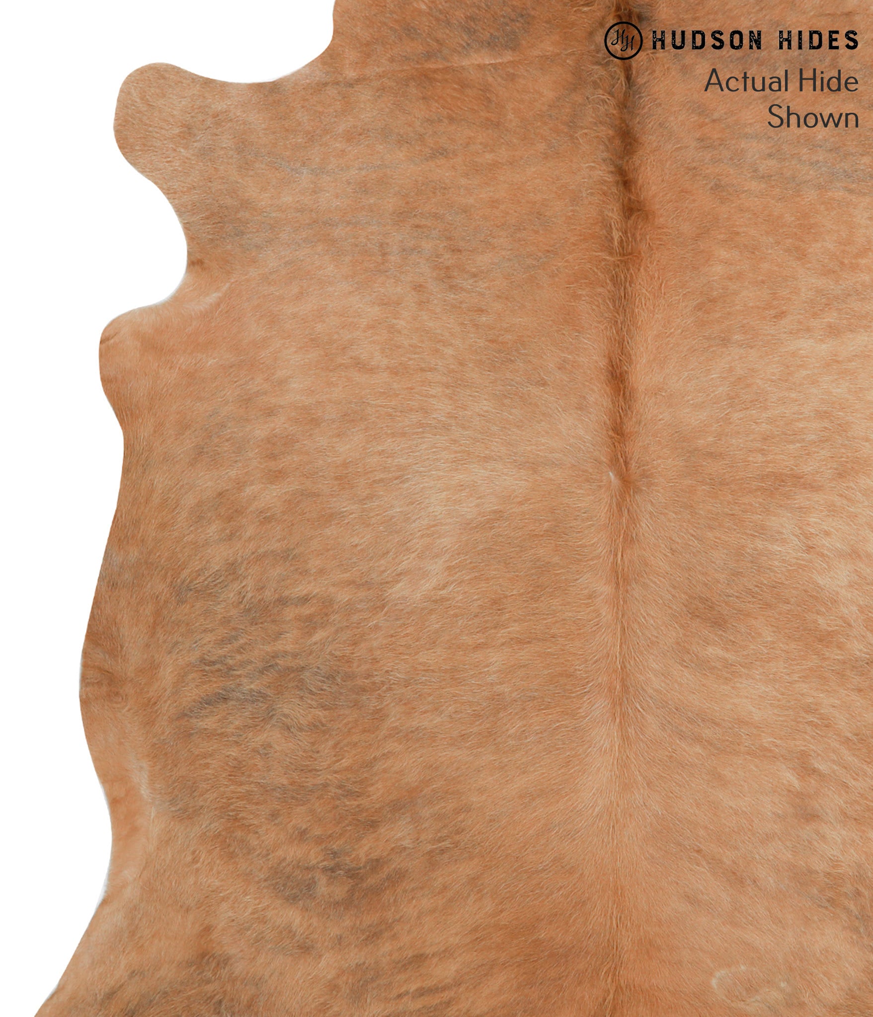 Solid Brown Cowhide Rug #38313