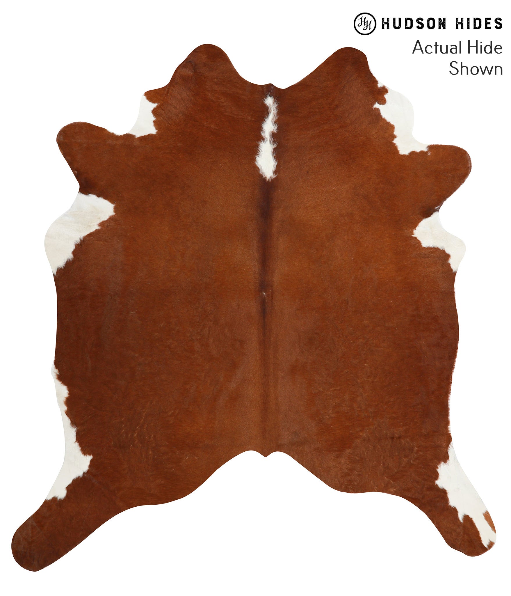 Brown and White Regular Cowhide Rug #38322