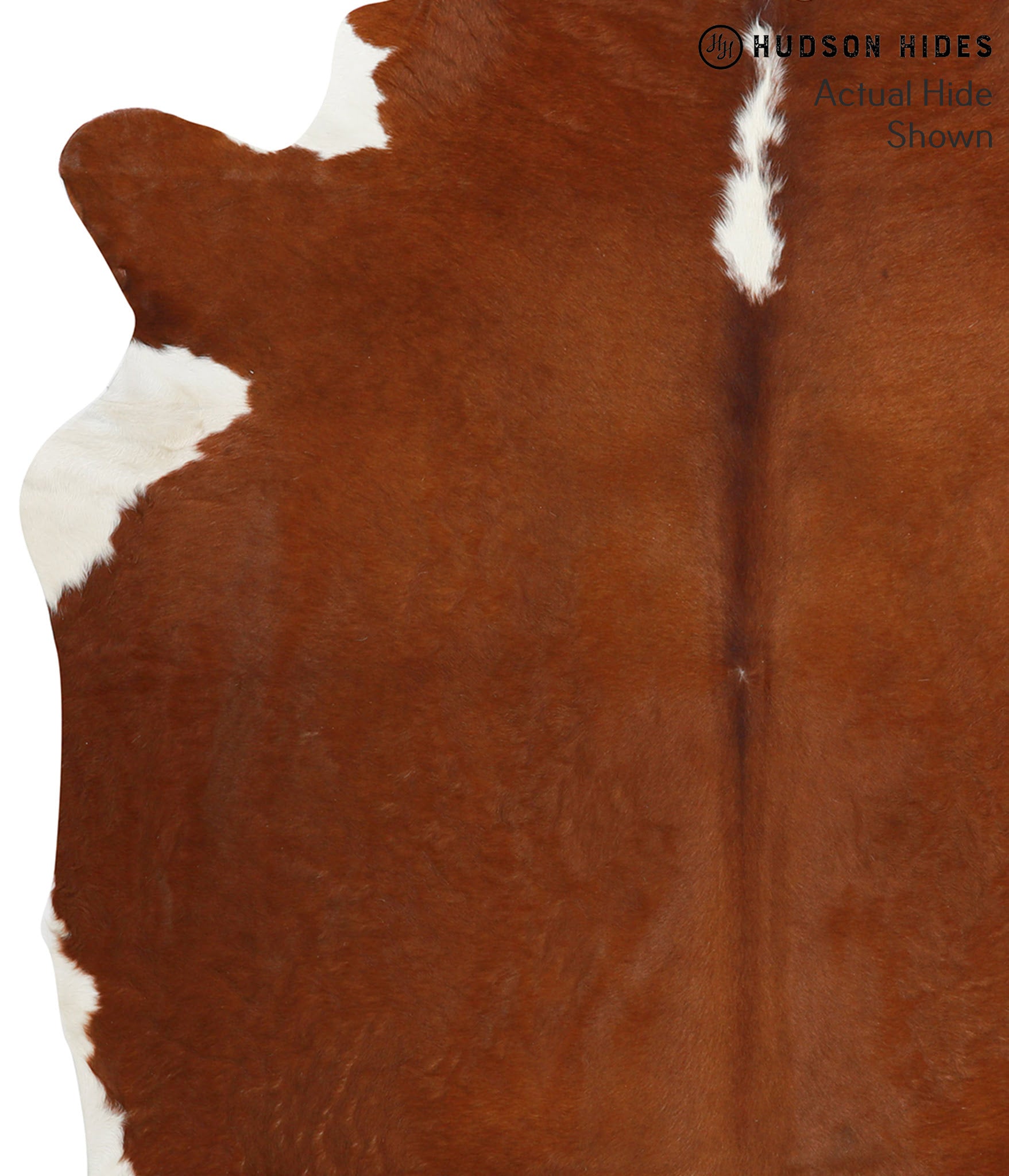 Brown and White Regular Cowhide Rug #38322