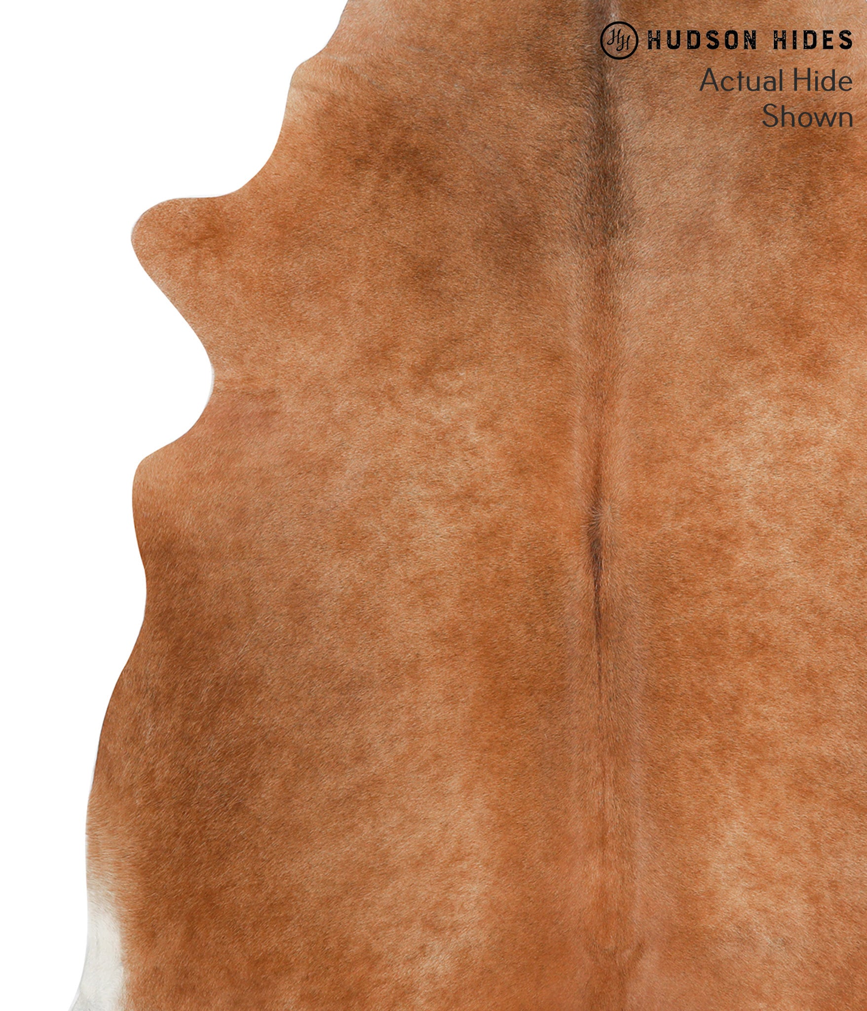 Solid Brown Cowhide Rug #38346