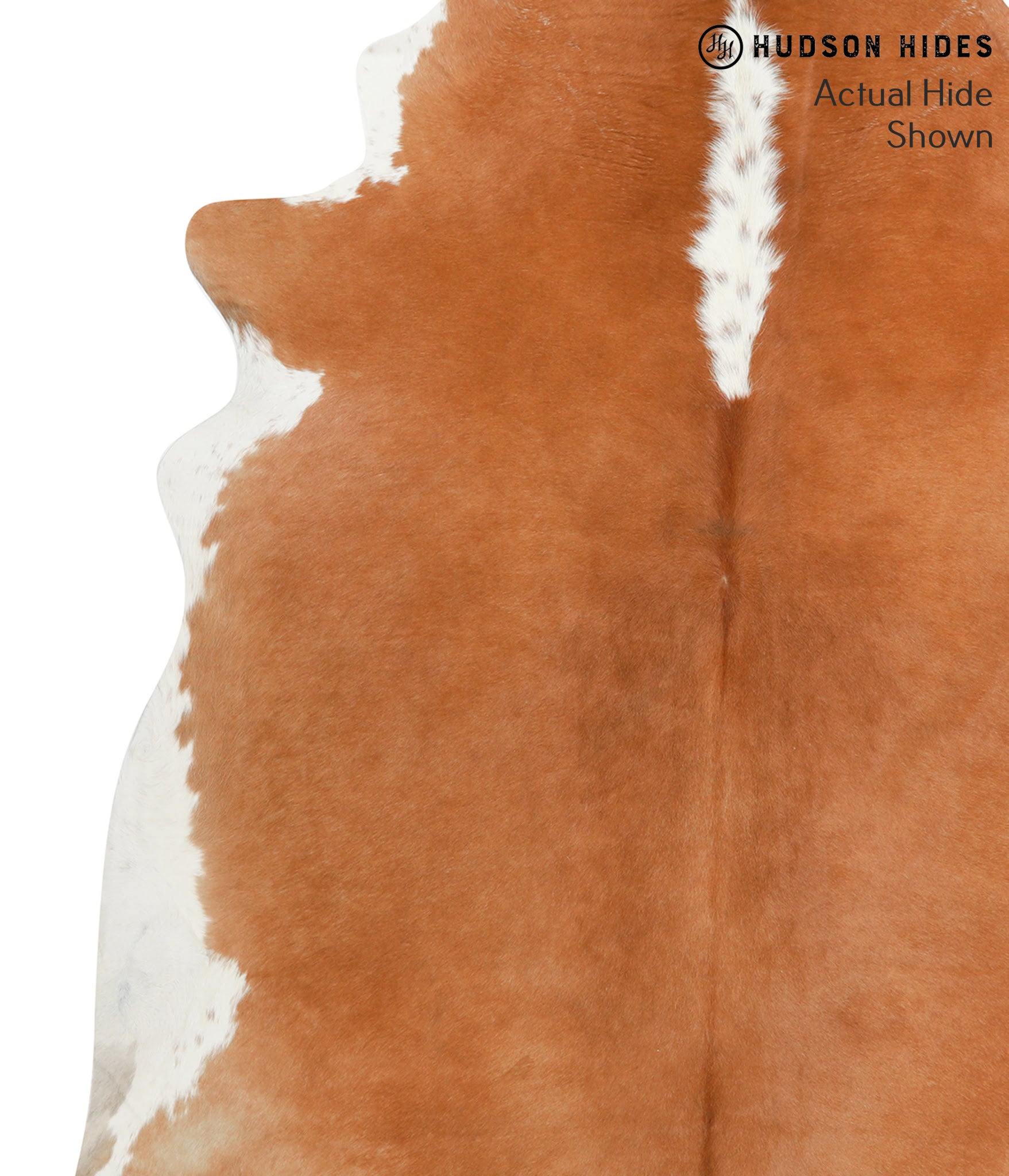 Brown and White Regular Cowhide Rug #38369