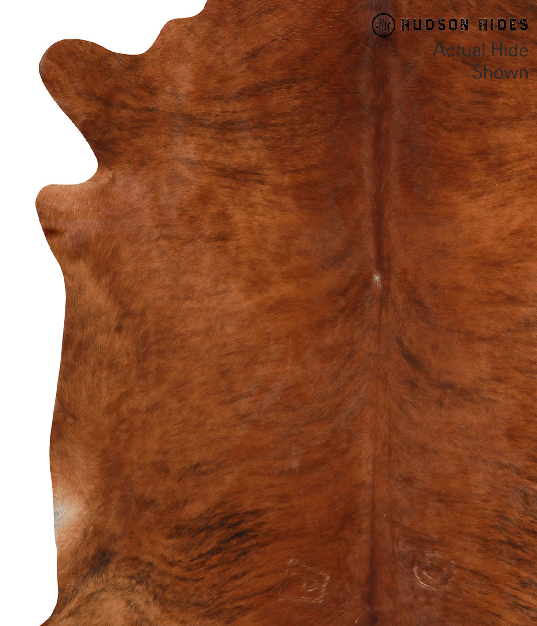 Medium Brindle Cowhide Rug #38403