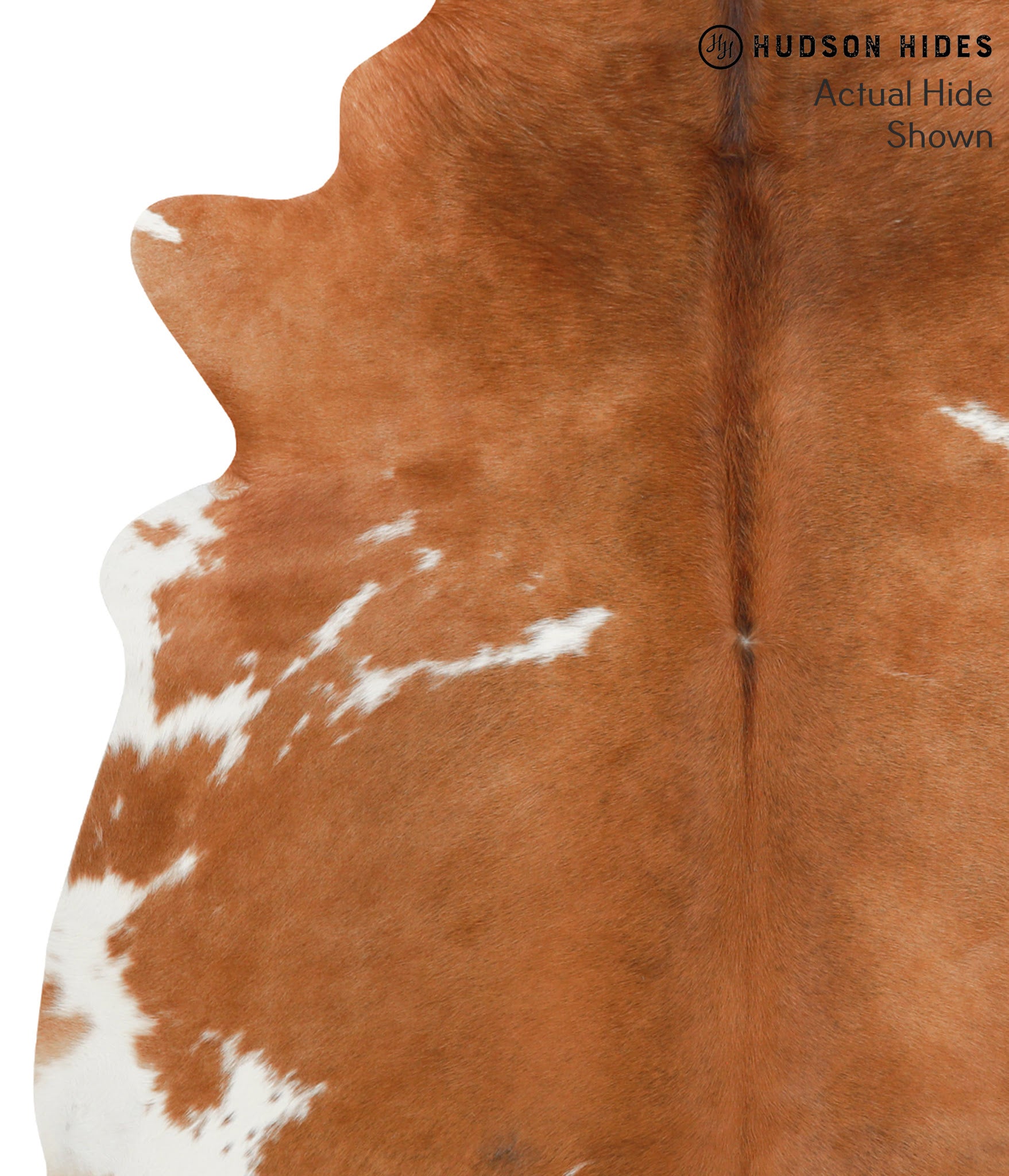 Brown and White Cowhide Rug #38415