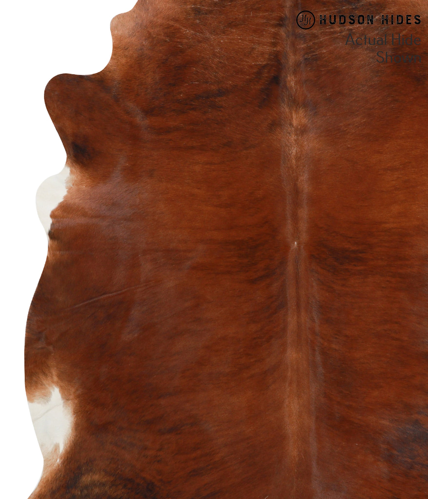 Medium Brindle Cowhide Rug #38420