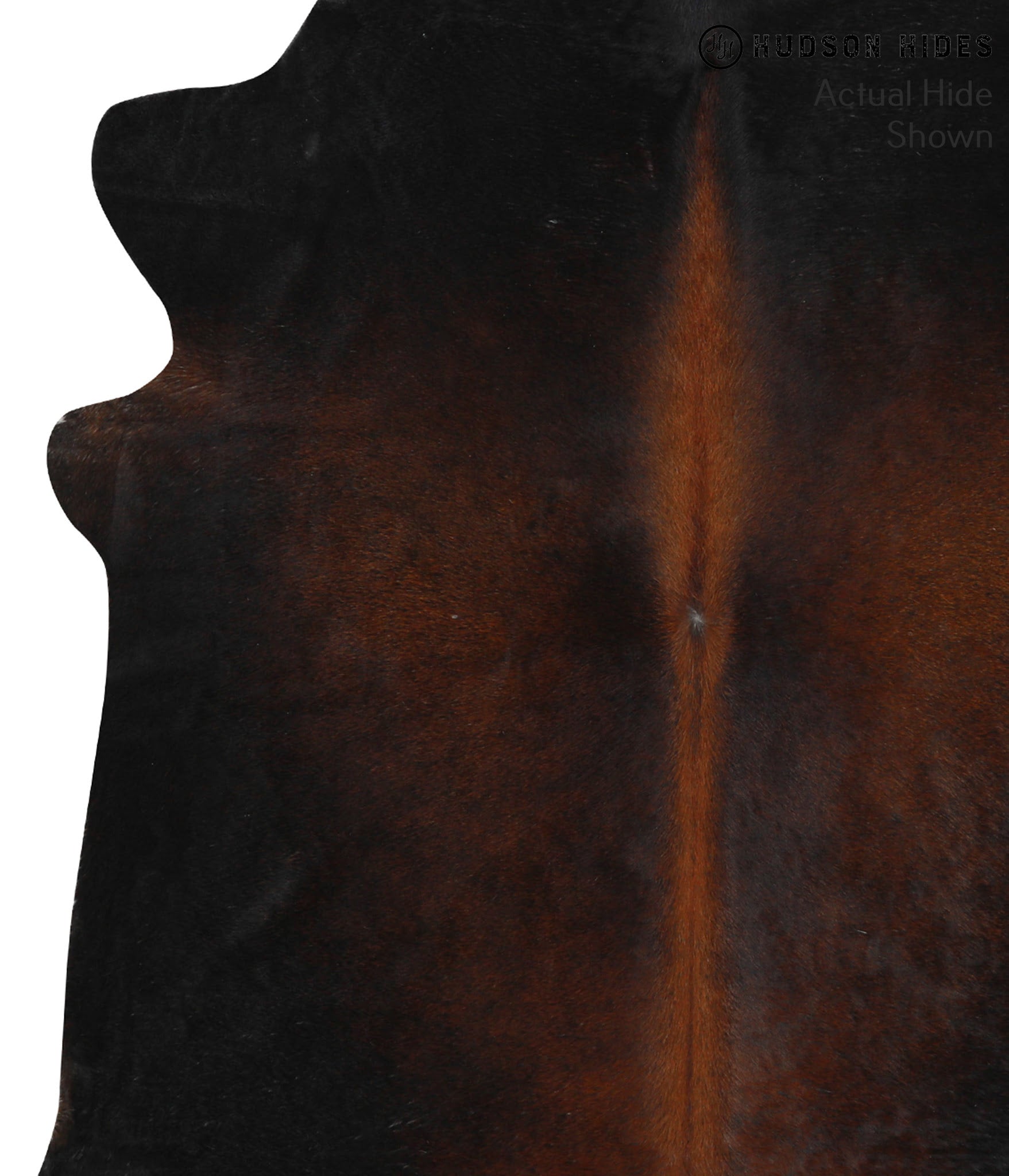 Chocolate Cowhide Rug #38437