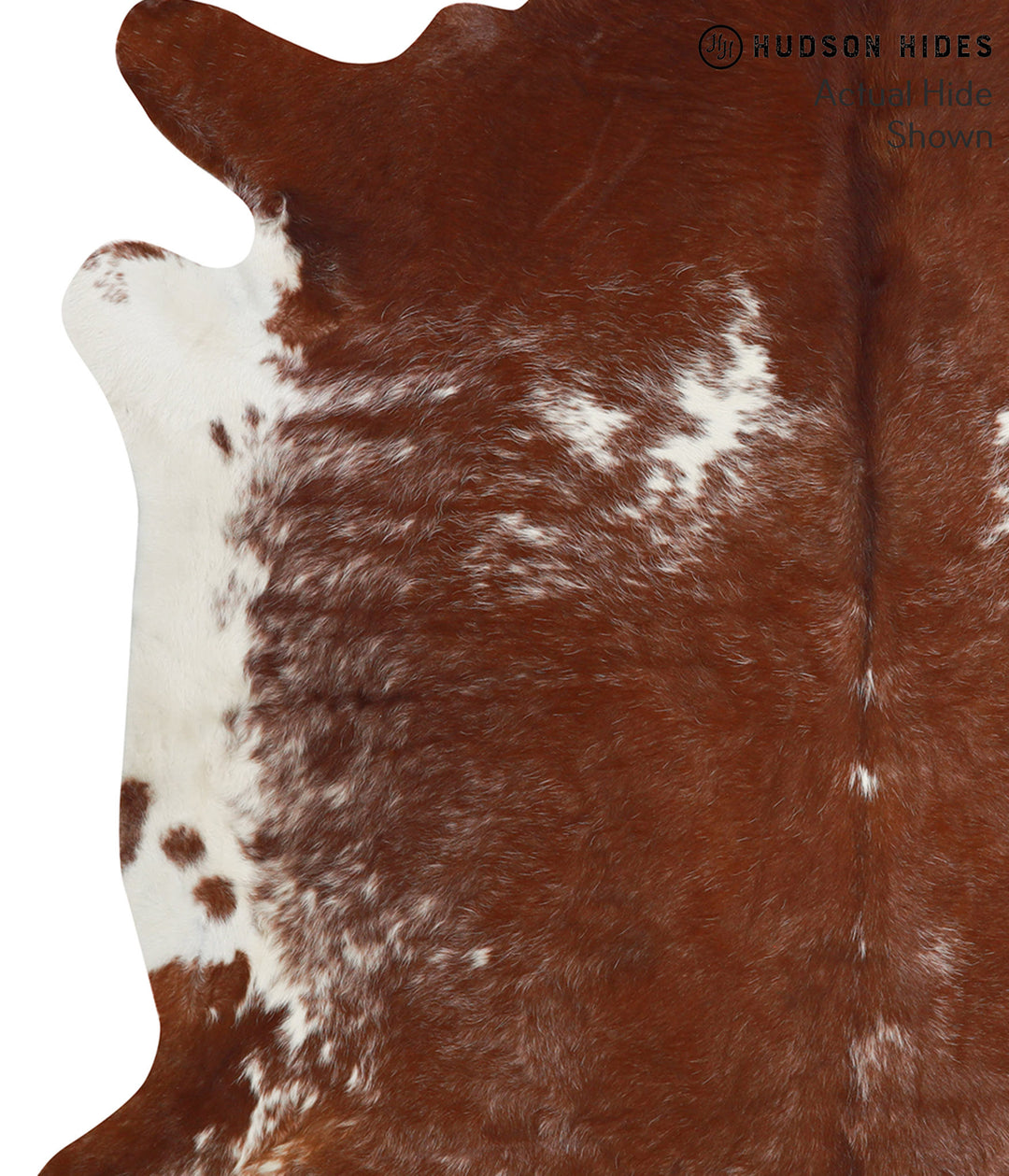 Brown and White X-Large Brazilian Cowhide Rug 6'8"H x 7'0"W #38450 by 