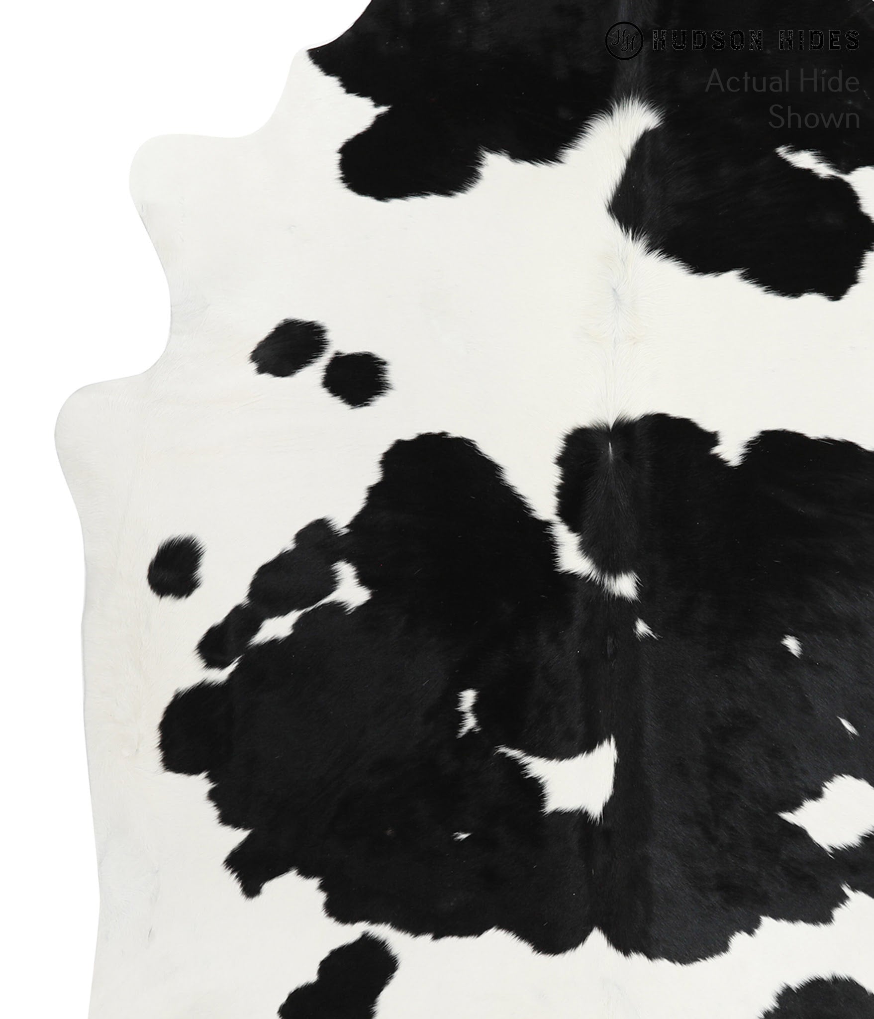 Black and White Cowhide Rug #38458