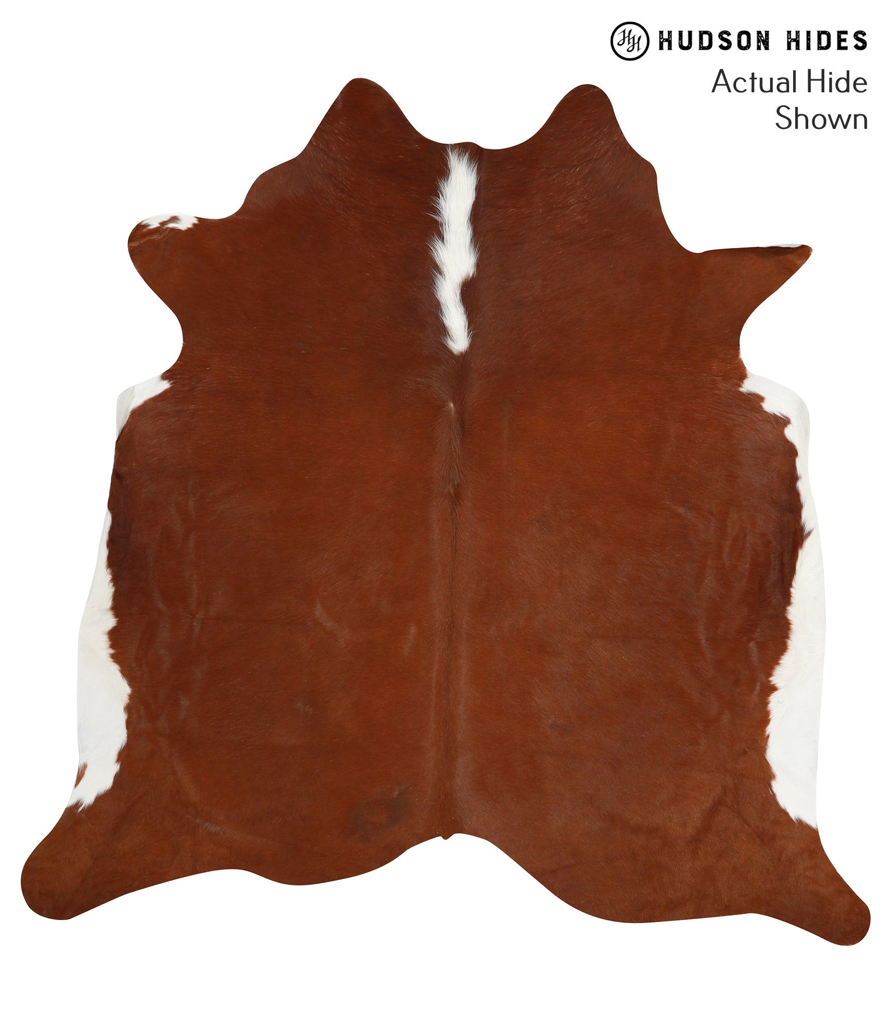 Brown and White Regular Cowhide Rug #38475