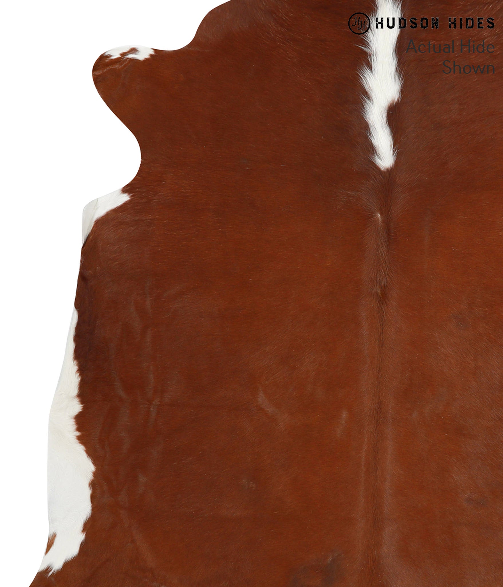 Brown and White Regular Cowhide Rug #38475
