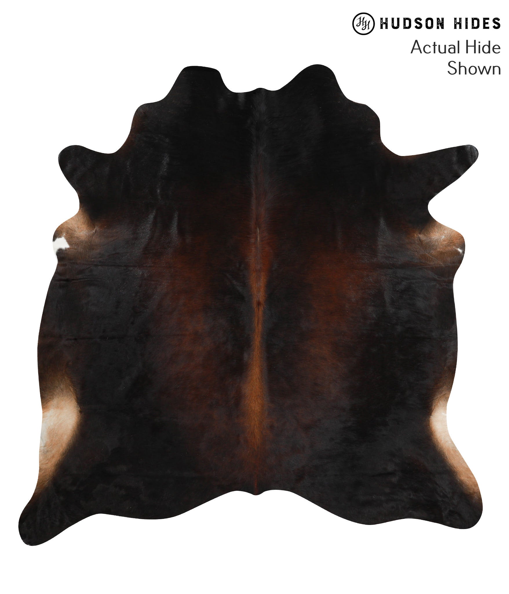 Chocolate Cowhide Rug #38490