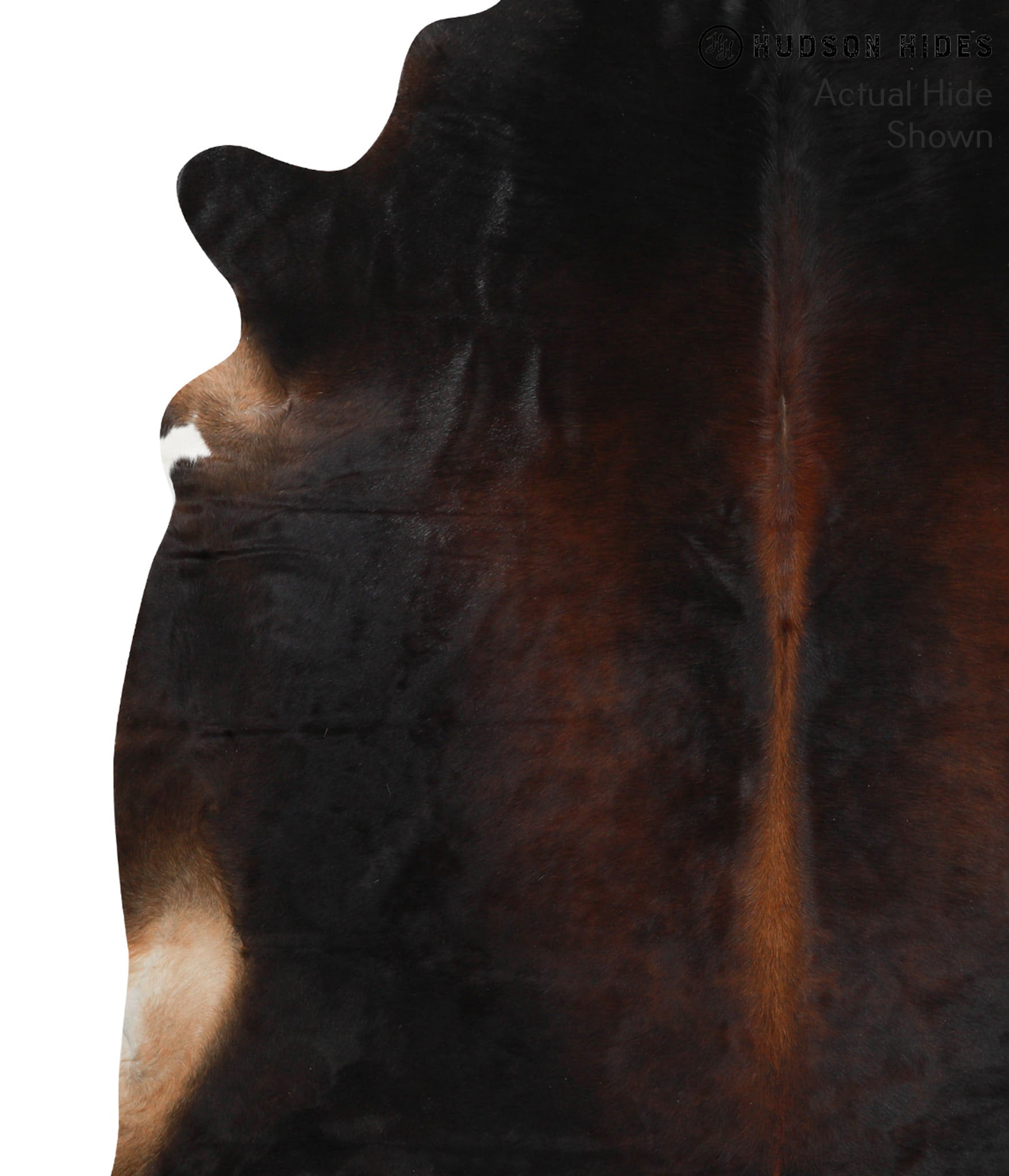 Chocolate Cowhide Rug #38490