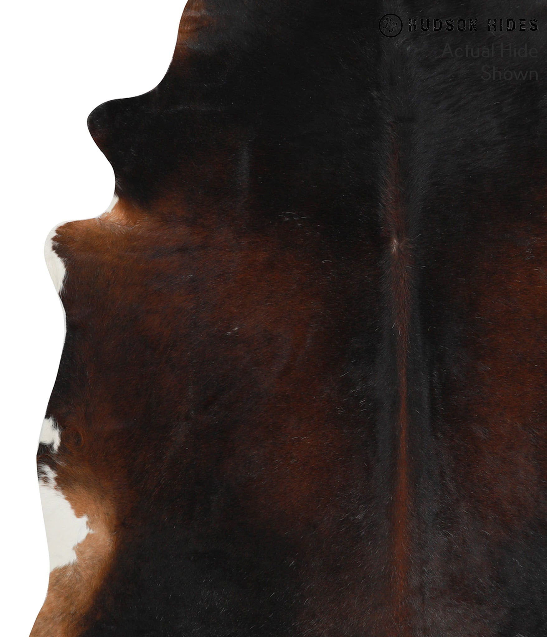 Chocolate Cowhide Rug #38493
