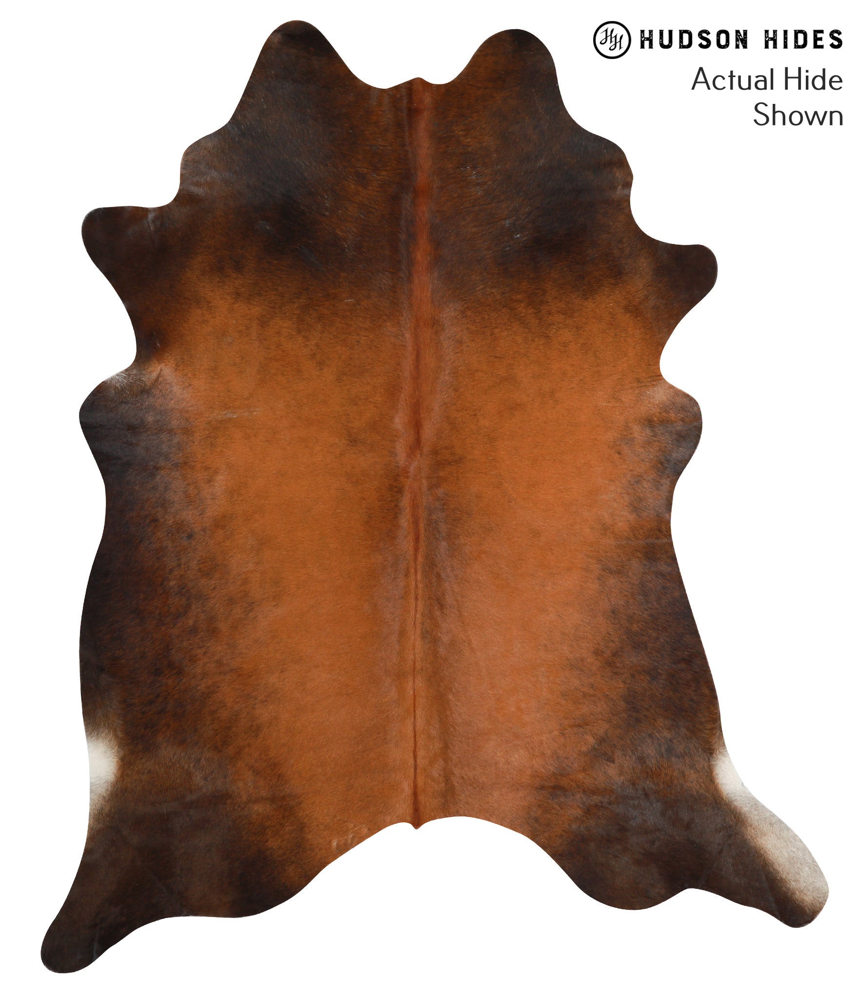 Brown with Red Cowhide Rug #38553