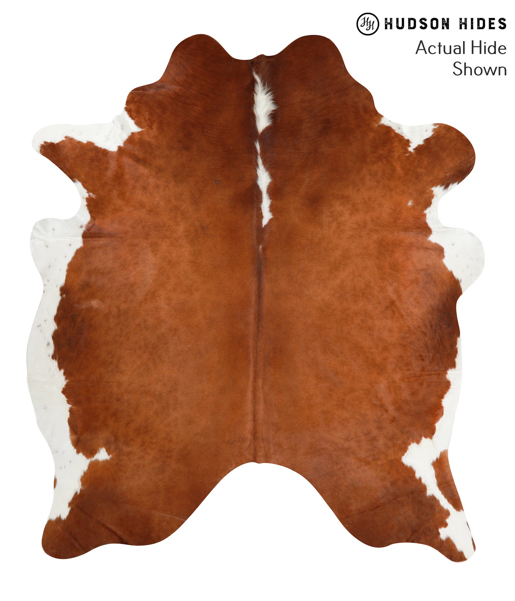 Brown and White Regular Cowhide Rug #38561