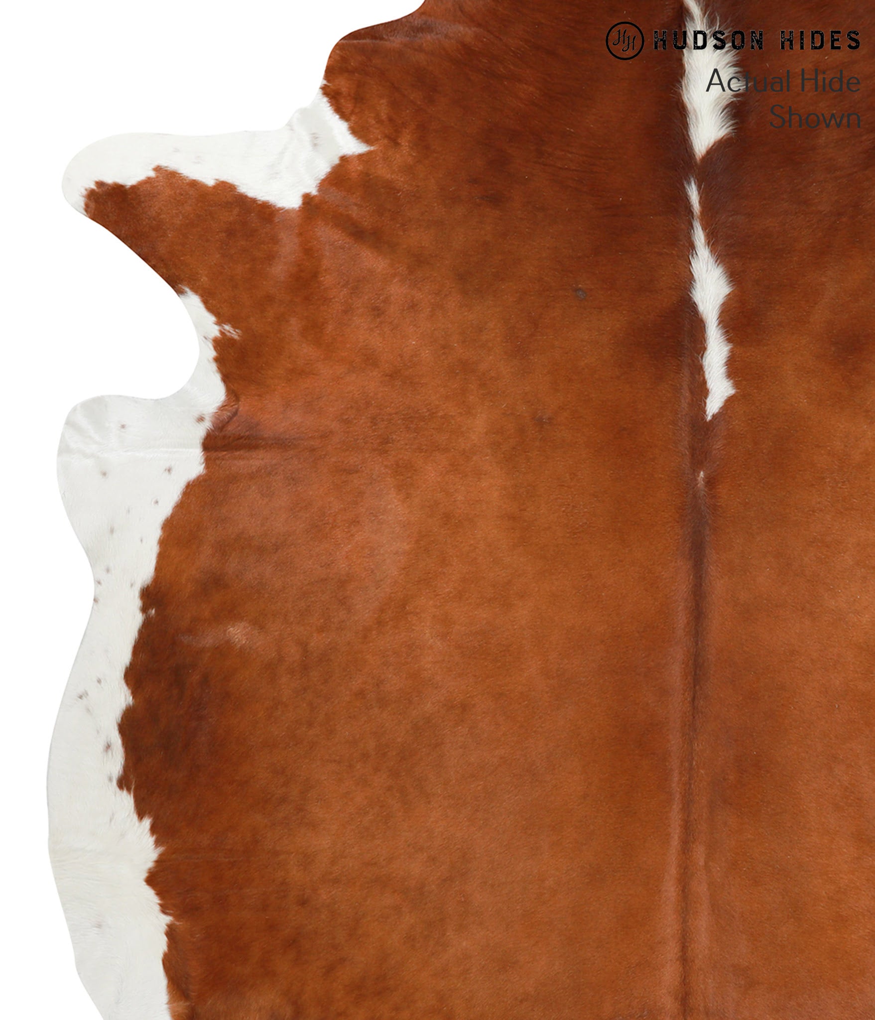 Brown and White Regular Cowhide Rug #38561