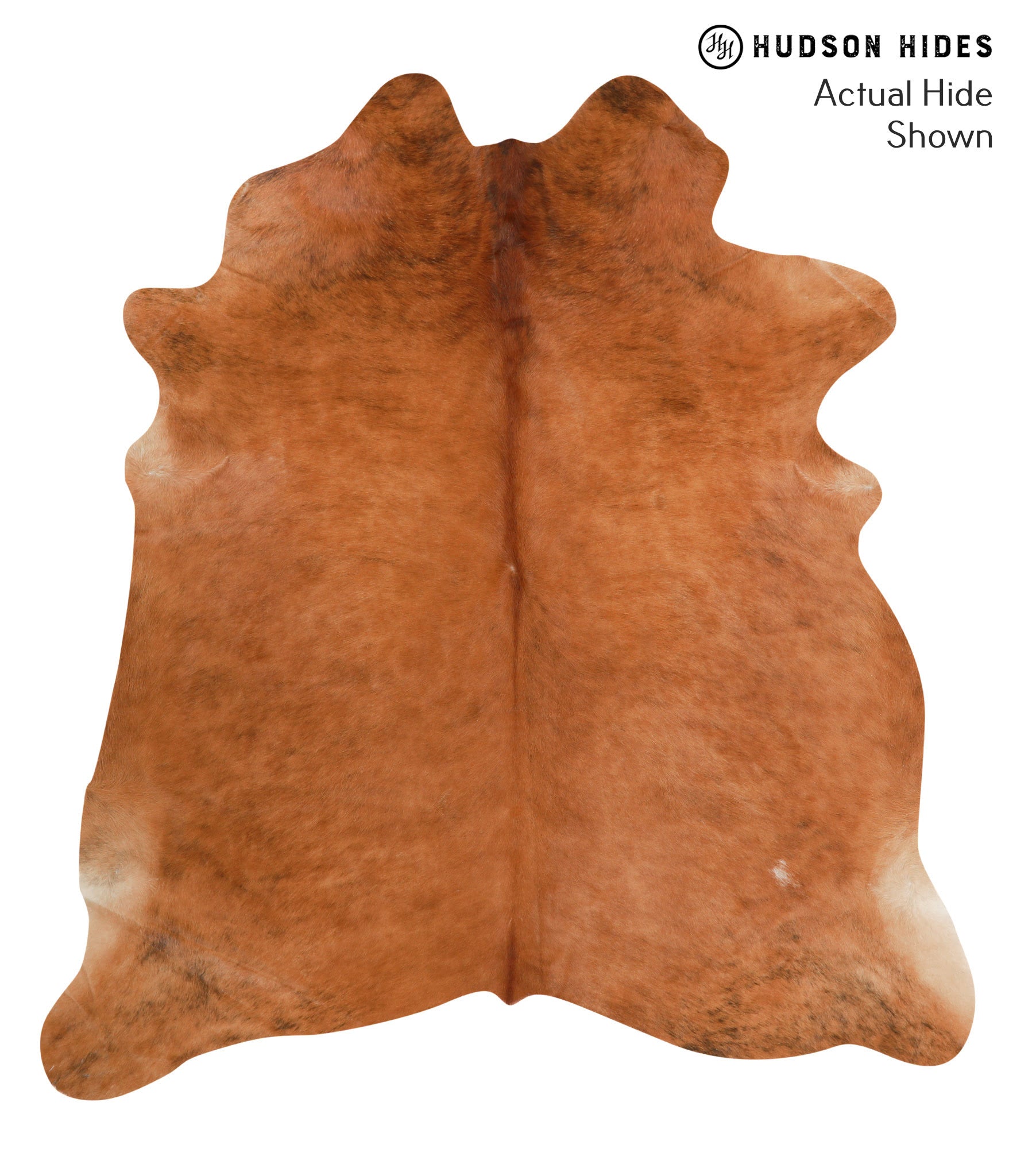 Solid Brown Cowhide Rug #38571