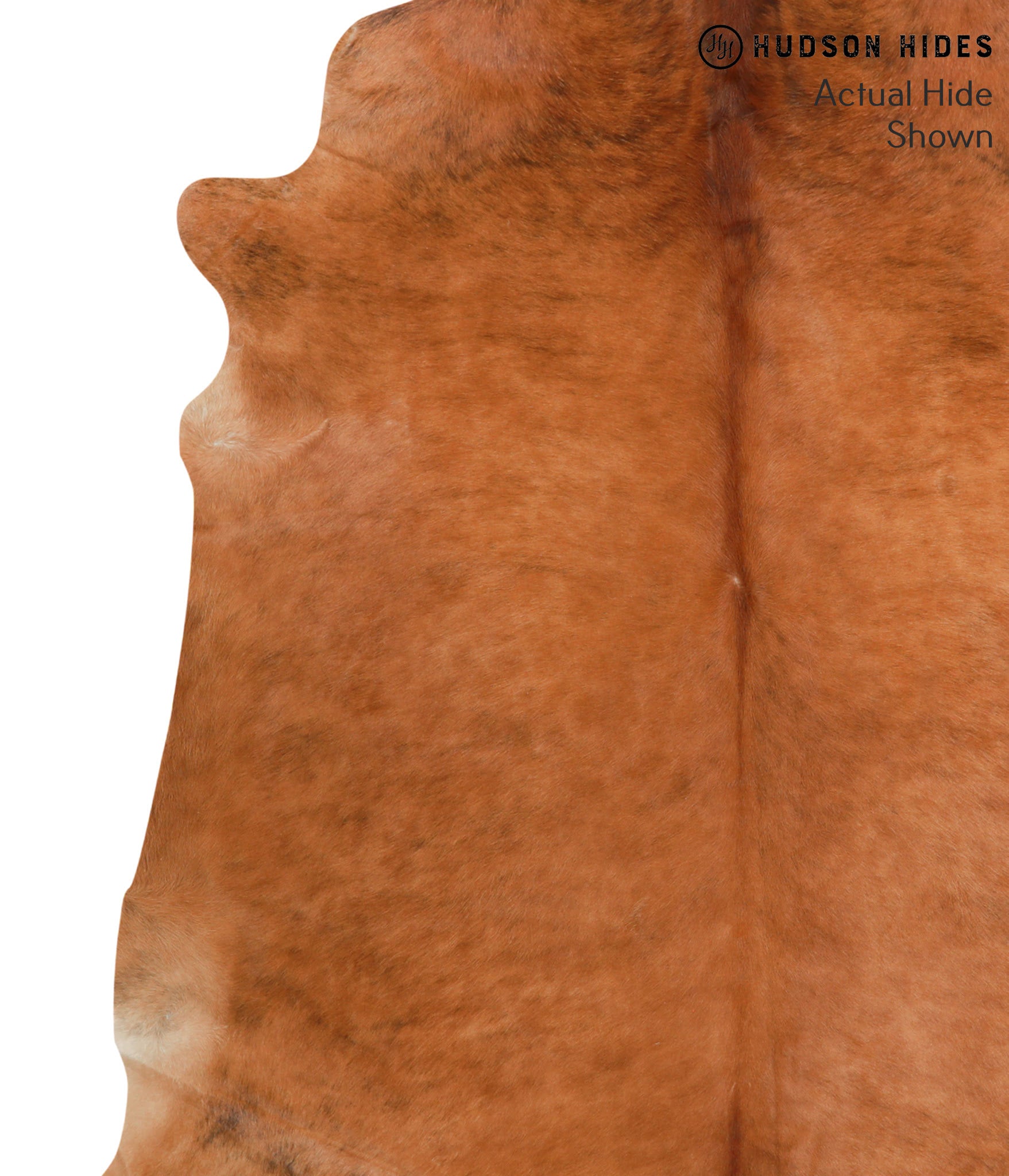 Solid Brown Cowhide Rug #38571