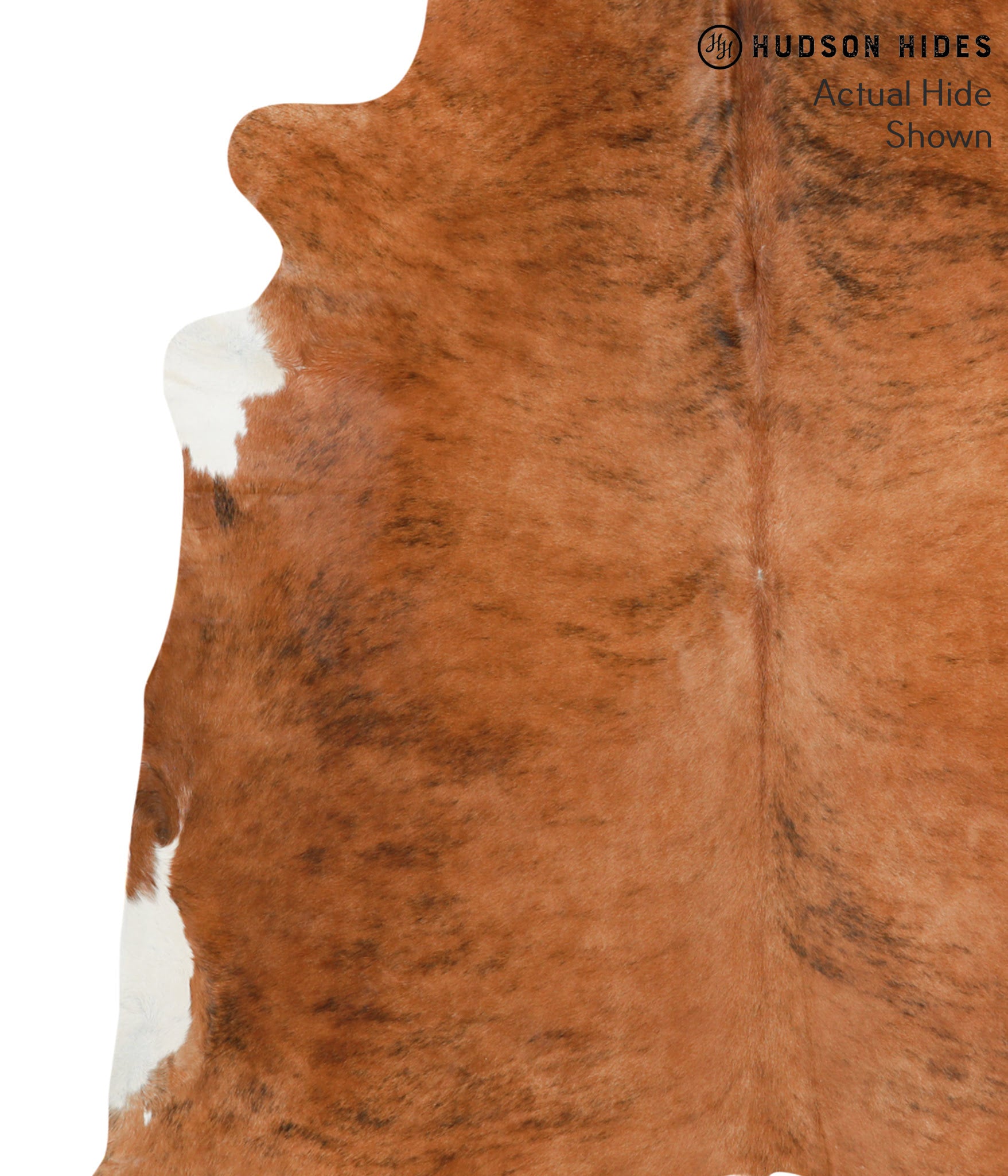 Medium Brindle Cowhide Rug #38578