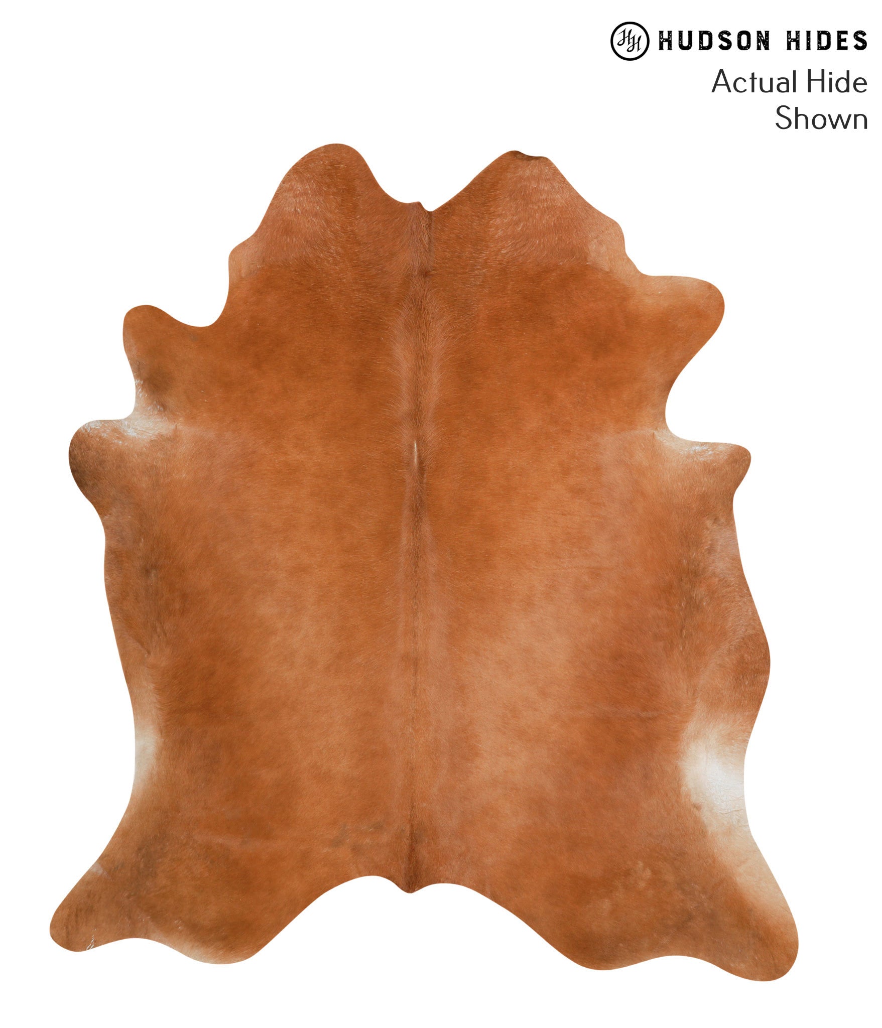 Solid Brown Cowhide Rug #38597