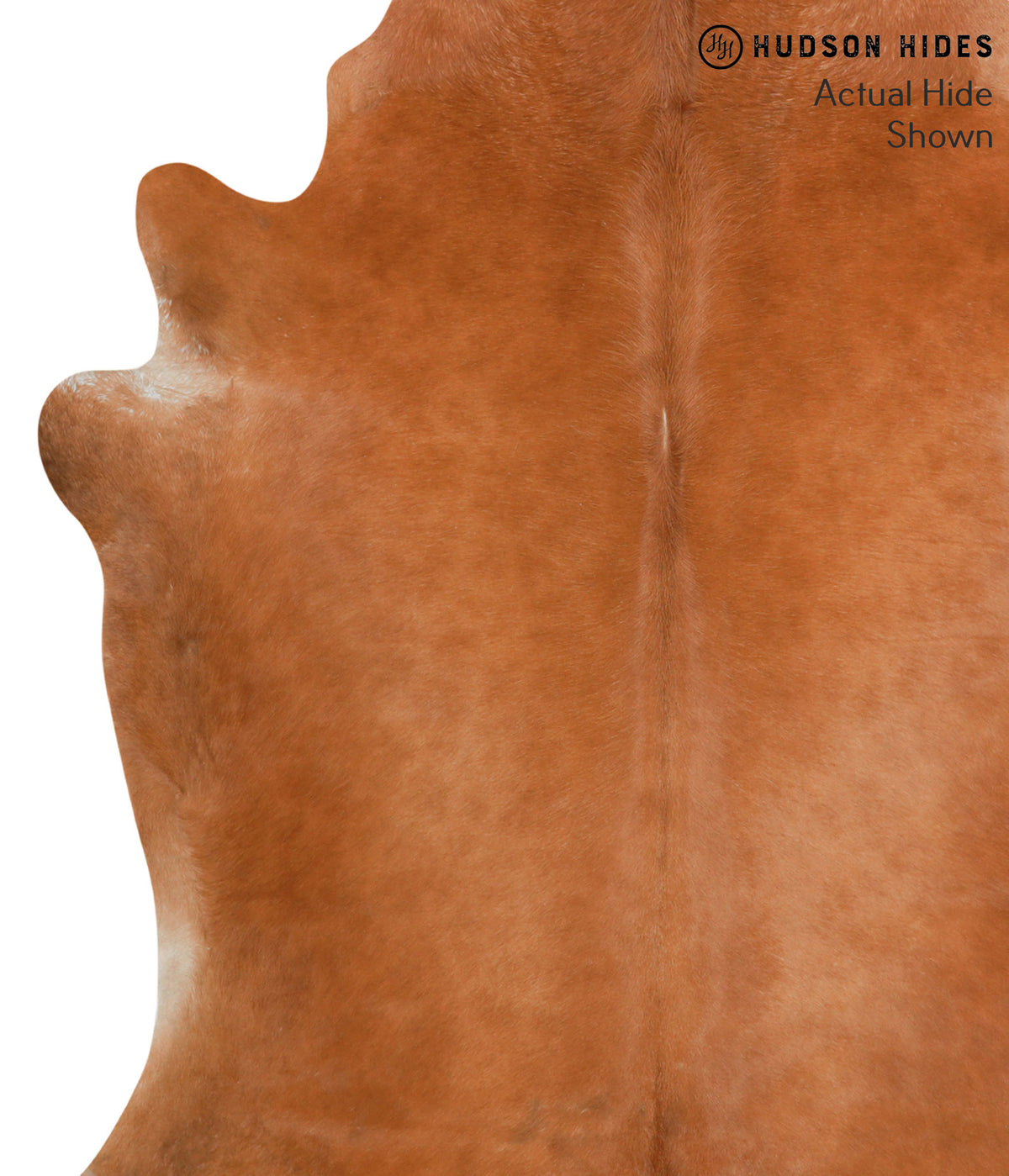 Solid Brown X-Large Brazilian Cowhide Rug 7'0"H x 6'2"W #38597 by Hudson Hides