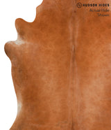 Solid Brown X-Large Brazilian Cowhide Rug 7'0"H x 6'2"W #38597 by Hudson Hides
