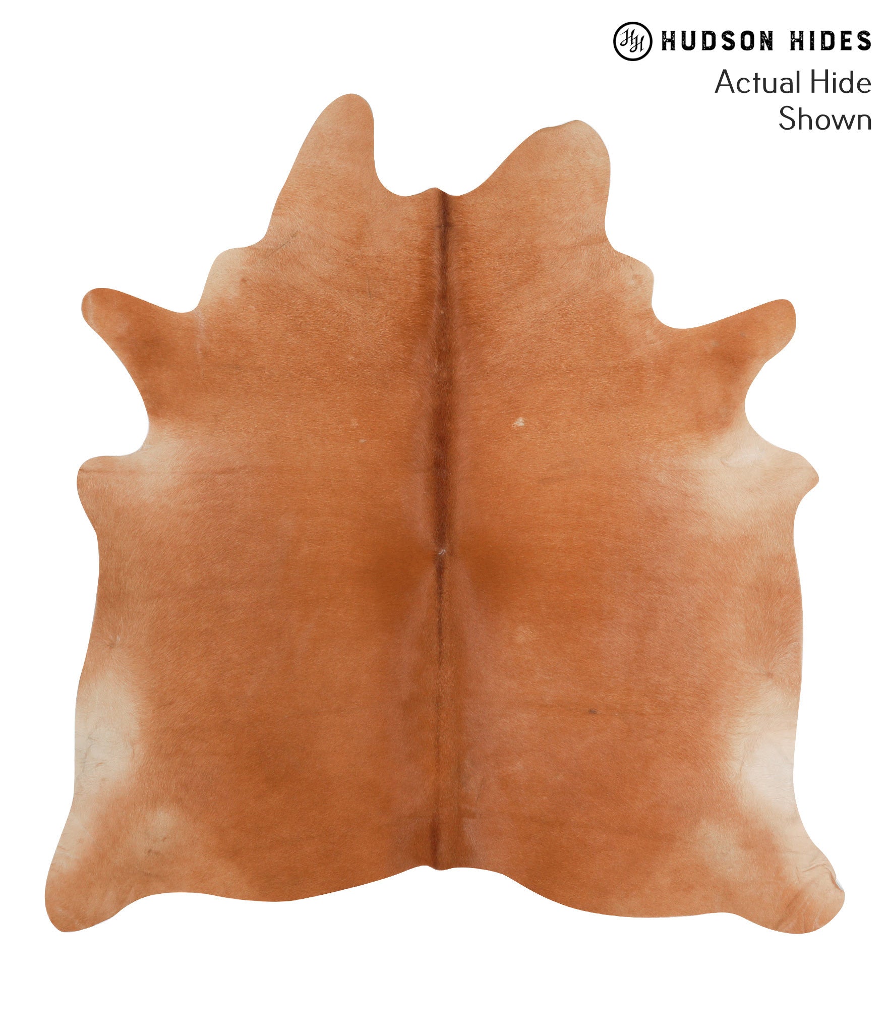 Solid Brown Cowhide Rug #38697