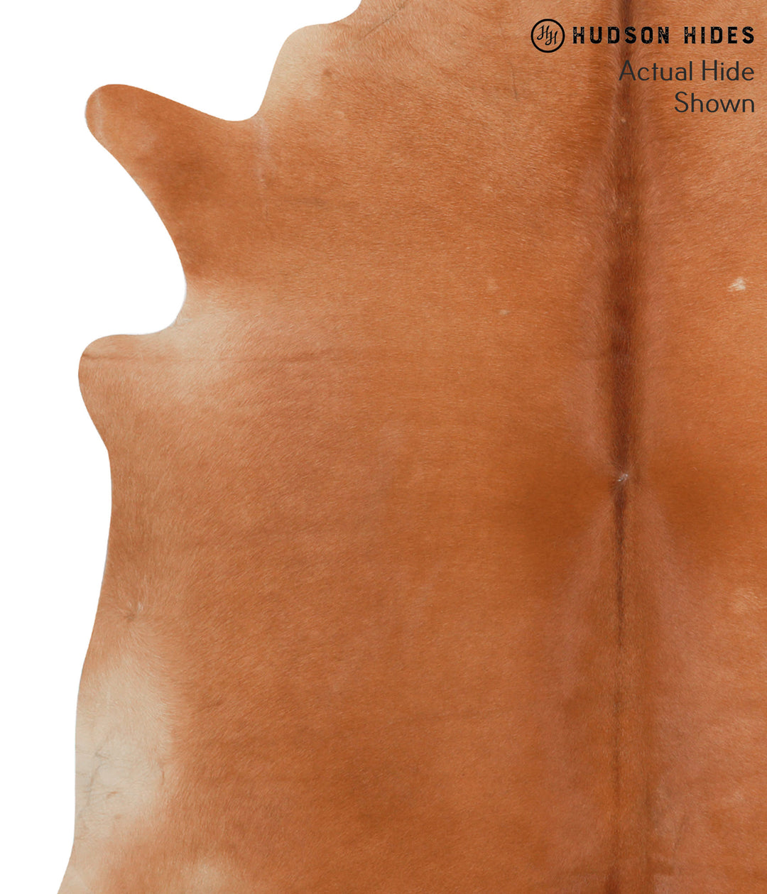 Solid Brown X-Large Brazilian Cowhide Rug 6'9"H x 6'5"W #38697 by Huds