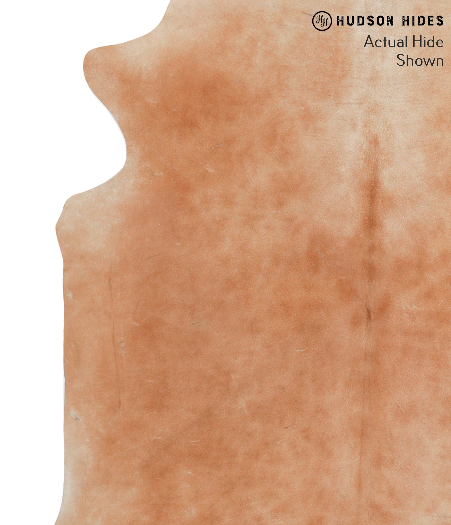 Solid Brown Cowhide Rug #38702