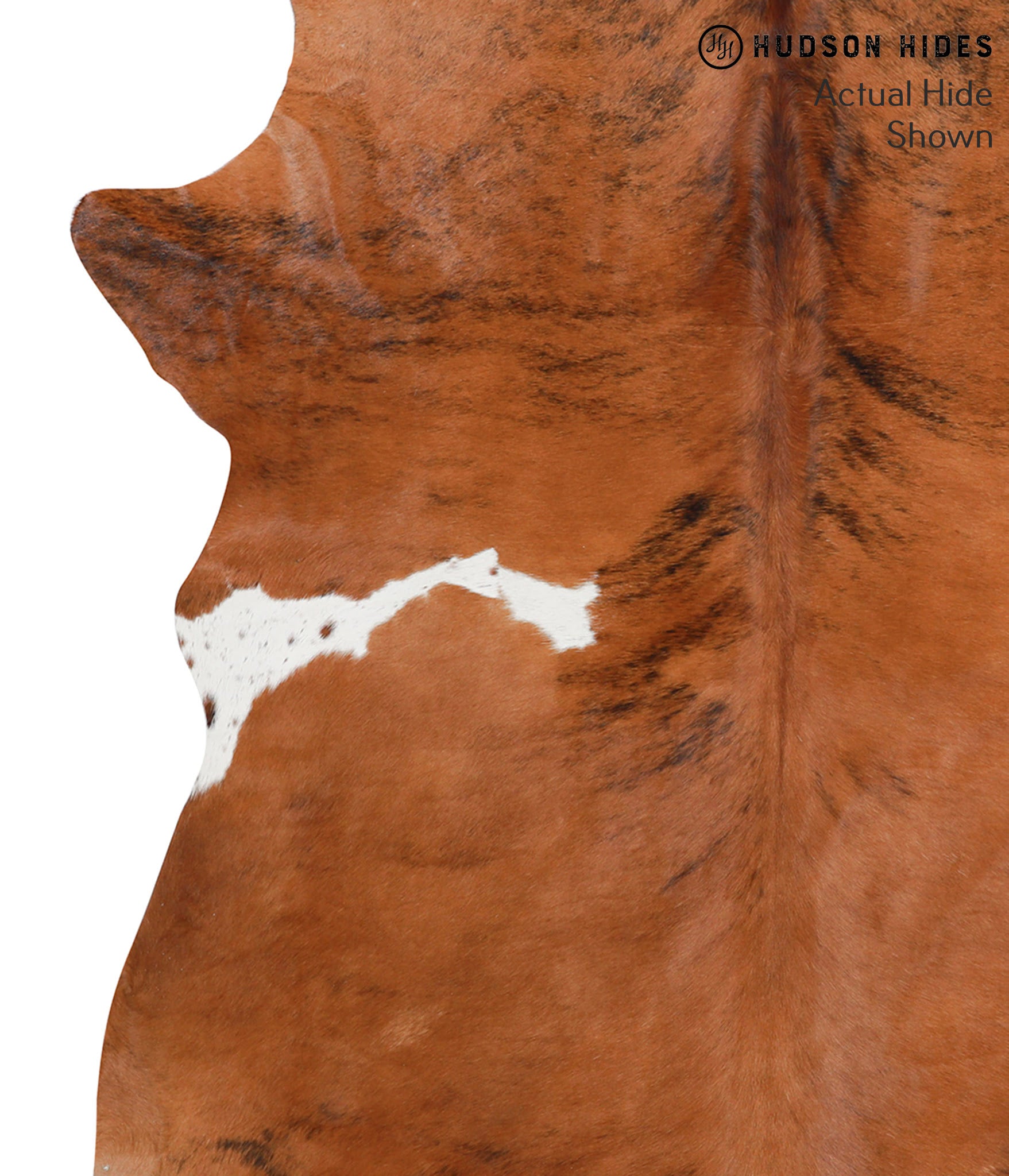 Medium Brindle Cowhide Rug #38706
