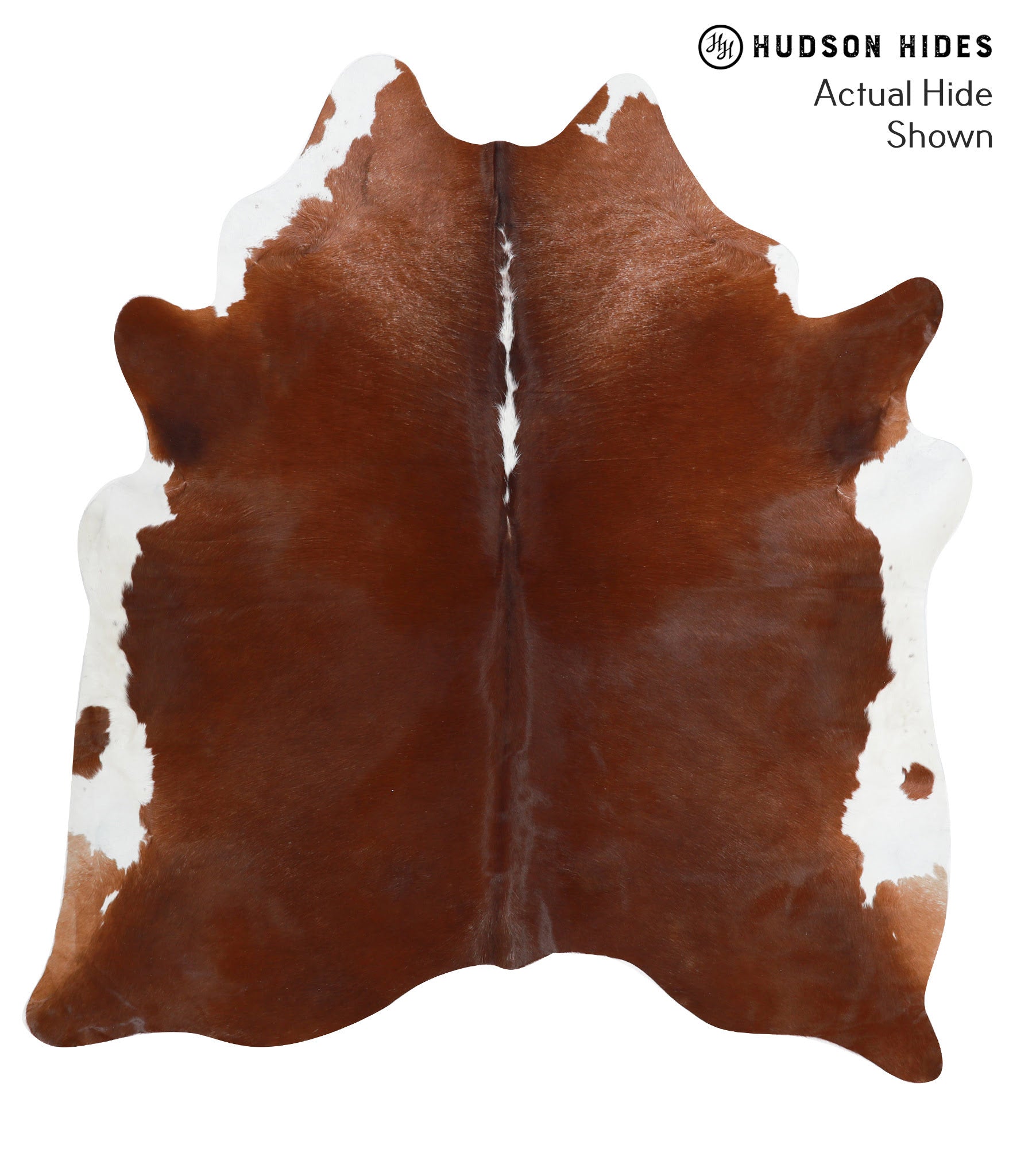 Brown and White Regular Cowhide Rug #38737