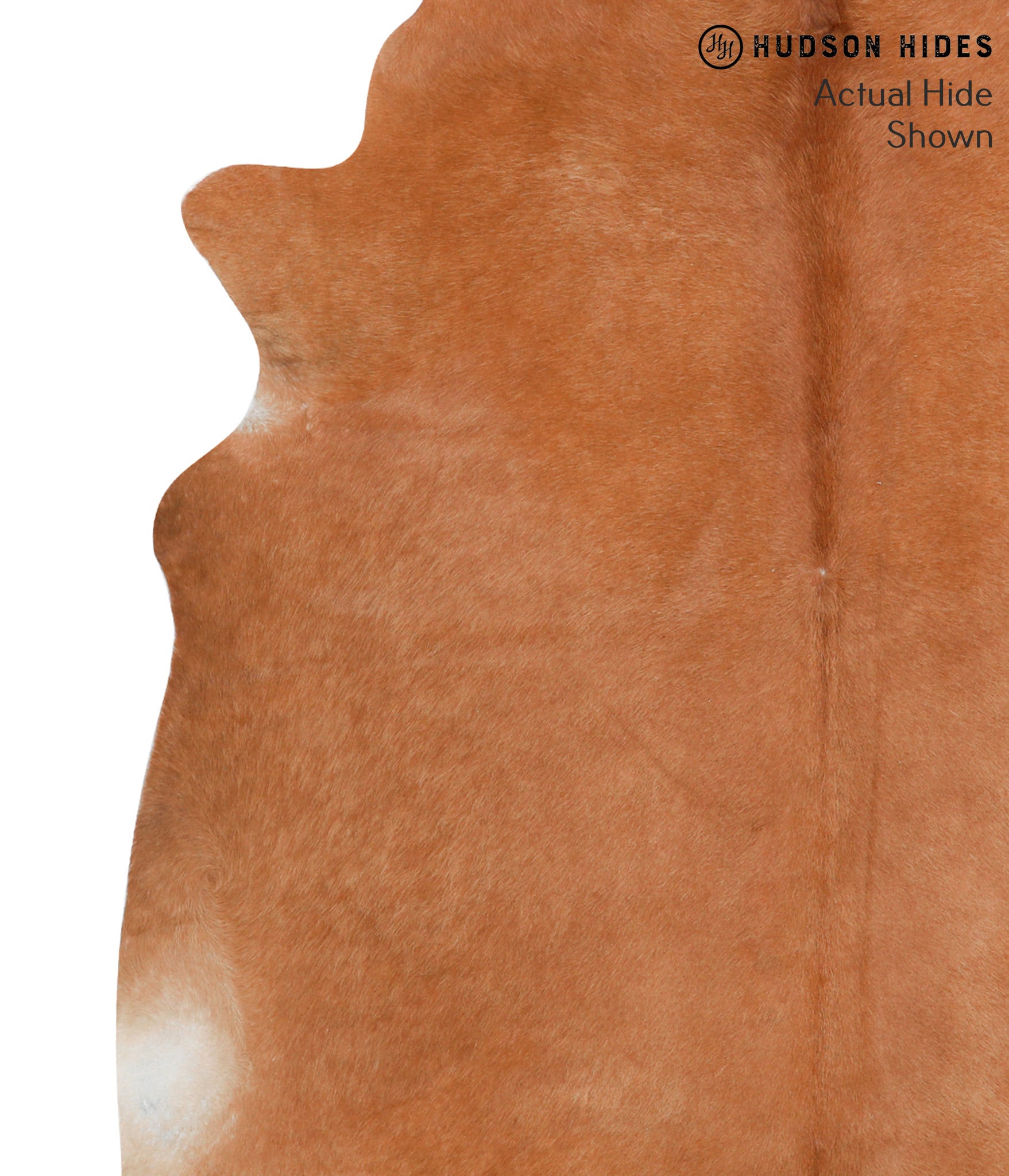 Solid Brown Cowhide Rug #38770