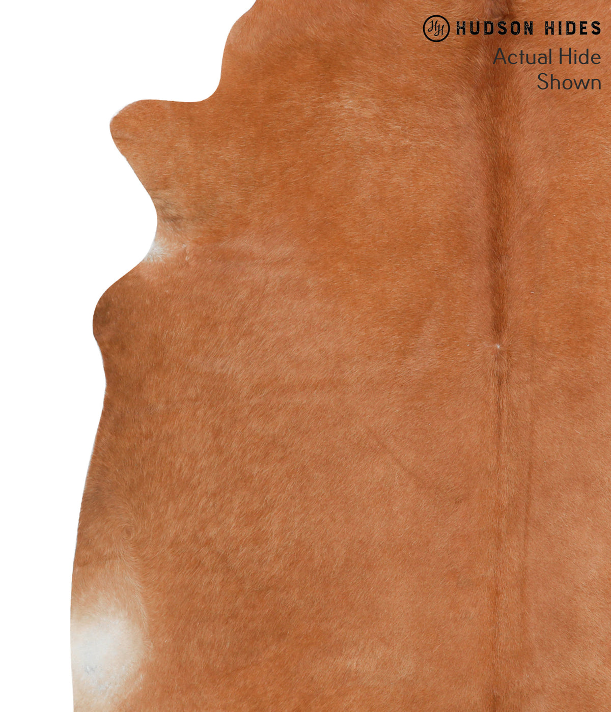 Solid Brown X-Large Brazilian Cowhide Rug 7'0"H x 6'7"W #38770 by Hudson Hides