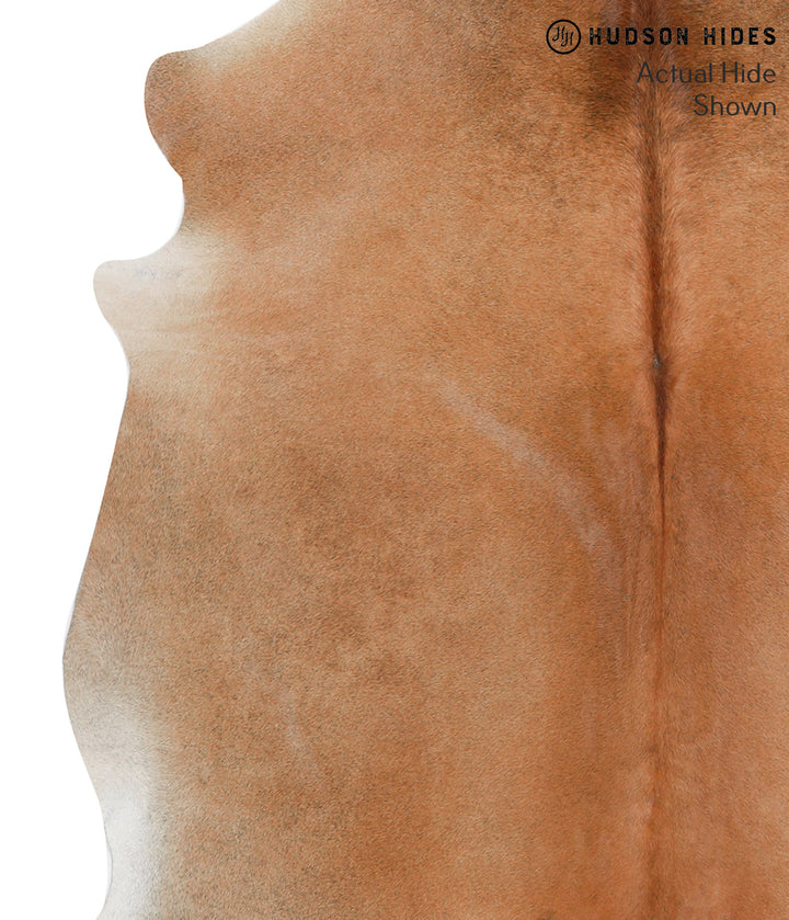 Solid Brown X-Large Brazilian Cowhide Rug 6'11"H x 6'2"W #38773 by Hudson Hides